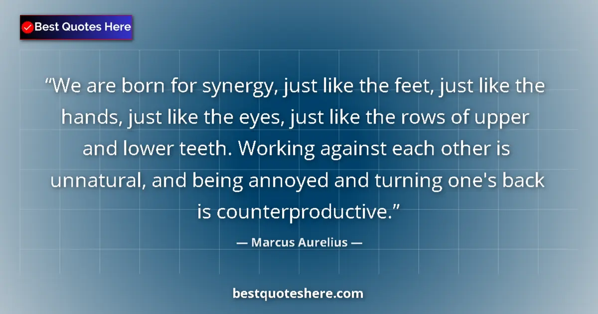 Quote by Marcus Aurelius: We are born for synergy, just like the feet, just like the hands, just like the eyes, just like the ...