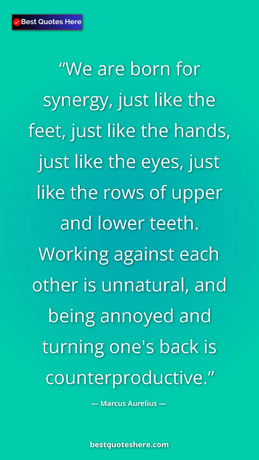 Pinterest quote poster by Marcus Aurelius: "We are born for synergy, just like the feet, just like the..."