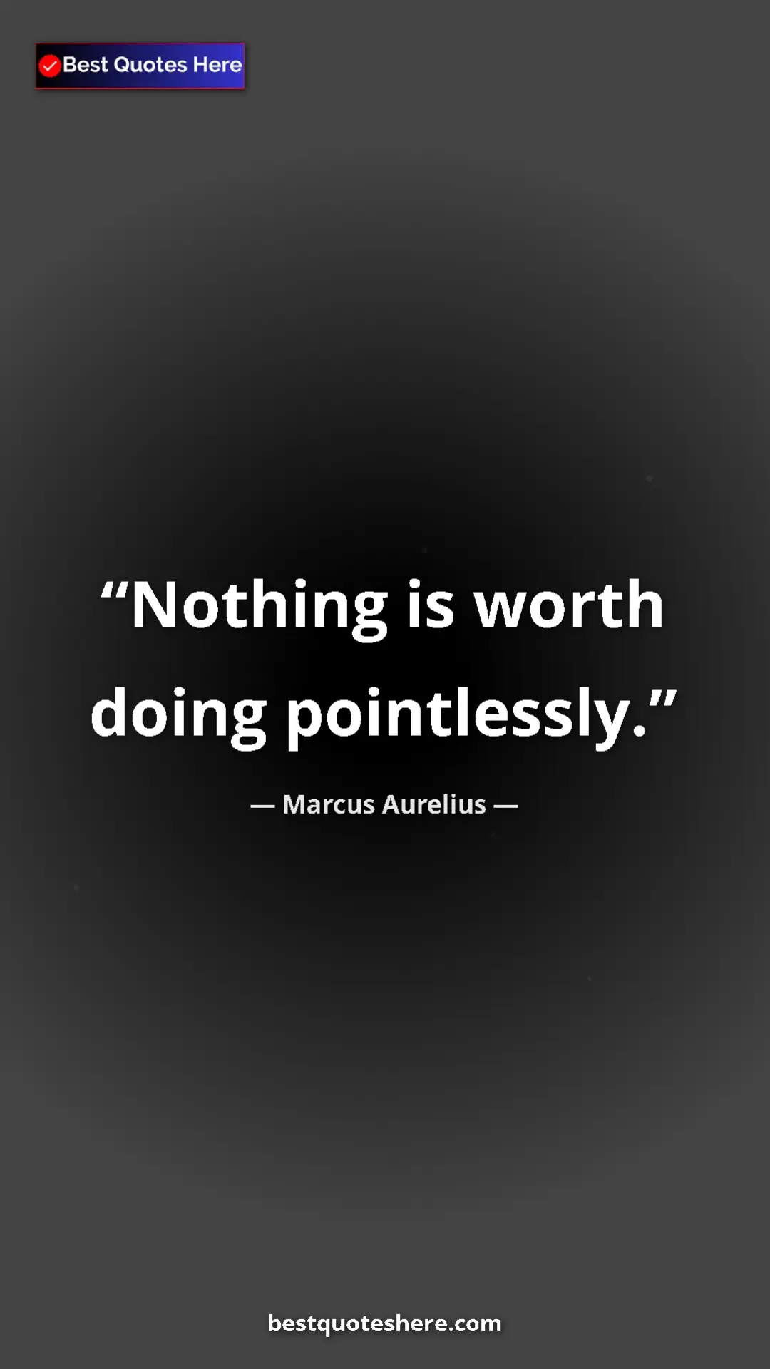 Pinterest quote poster by Marcus Aurelius: "Nothing is worth doing pointlessly."
