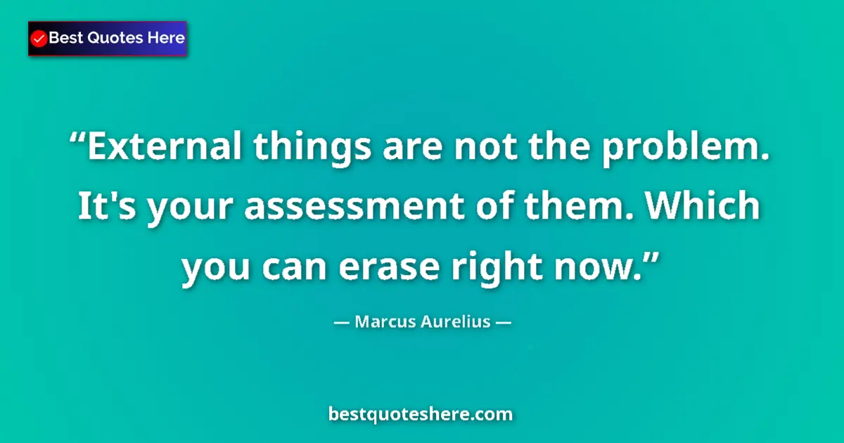 Quote by Marcus Aurelius: External things are not the problem. It's your ass