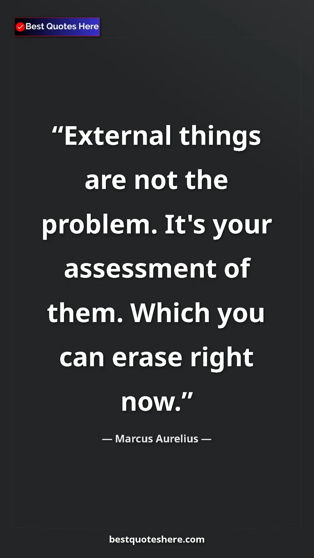 Pinterest quote poster by Marcus Aurelius: "External things are not the problem. It's your assessment..."