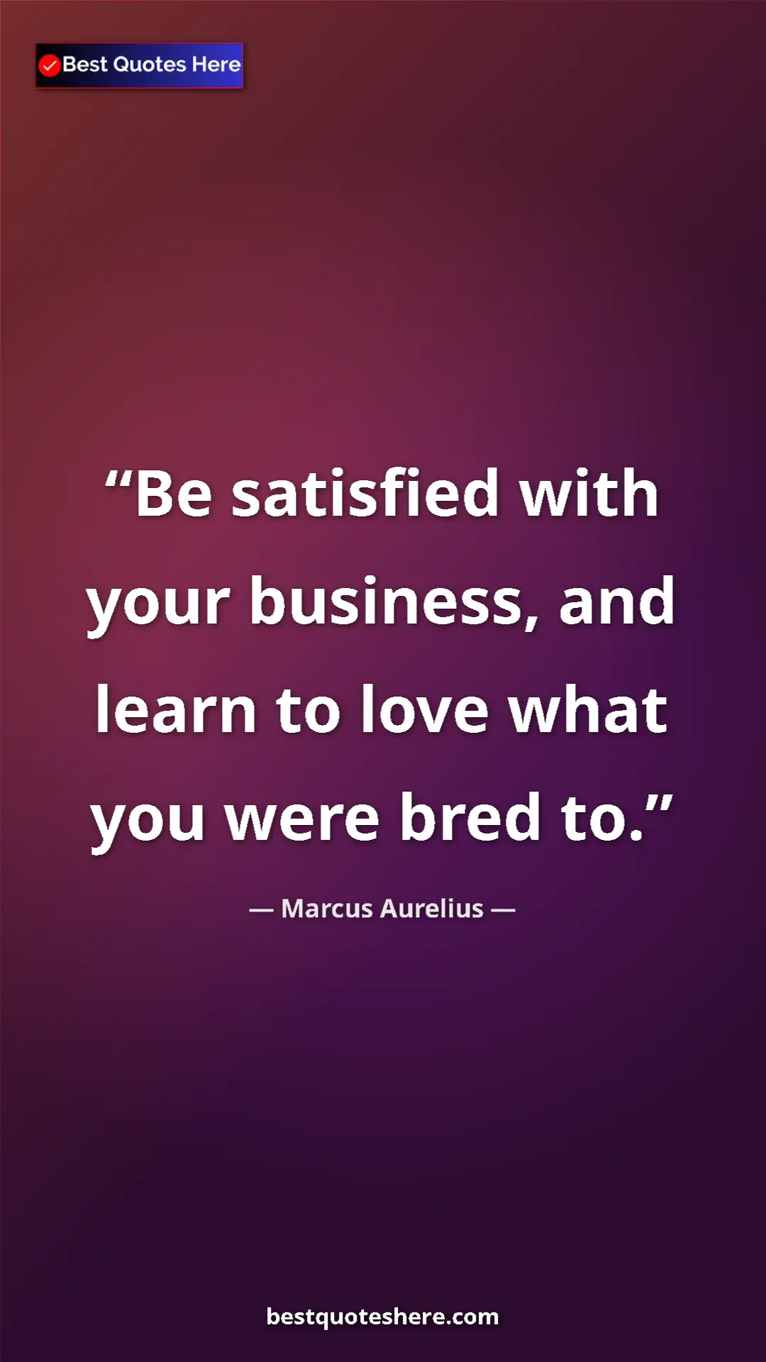 Pinterest quote poster by Marcus Aurelius: "Be satisfied with your business, and learn to love what you..."