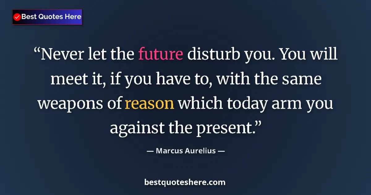 Quote by Marcus Aurelius: Never let the future disturb you. You will meet it, if you have to, with the same weapons of reason ...