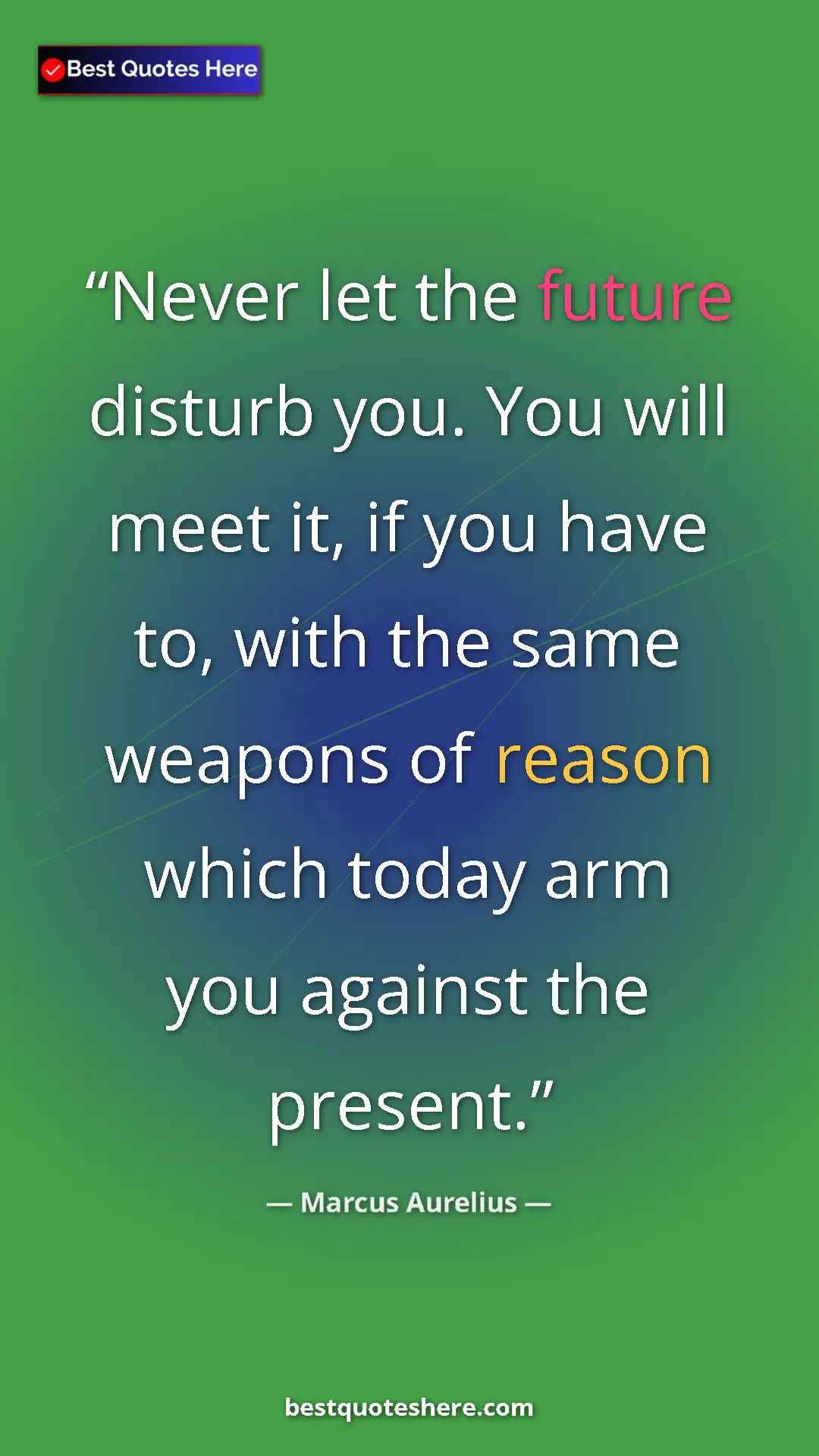 Pinterest quote poster by Marcus Aurelius: "Never let the future disturb you. You will meet it, if you..."