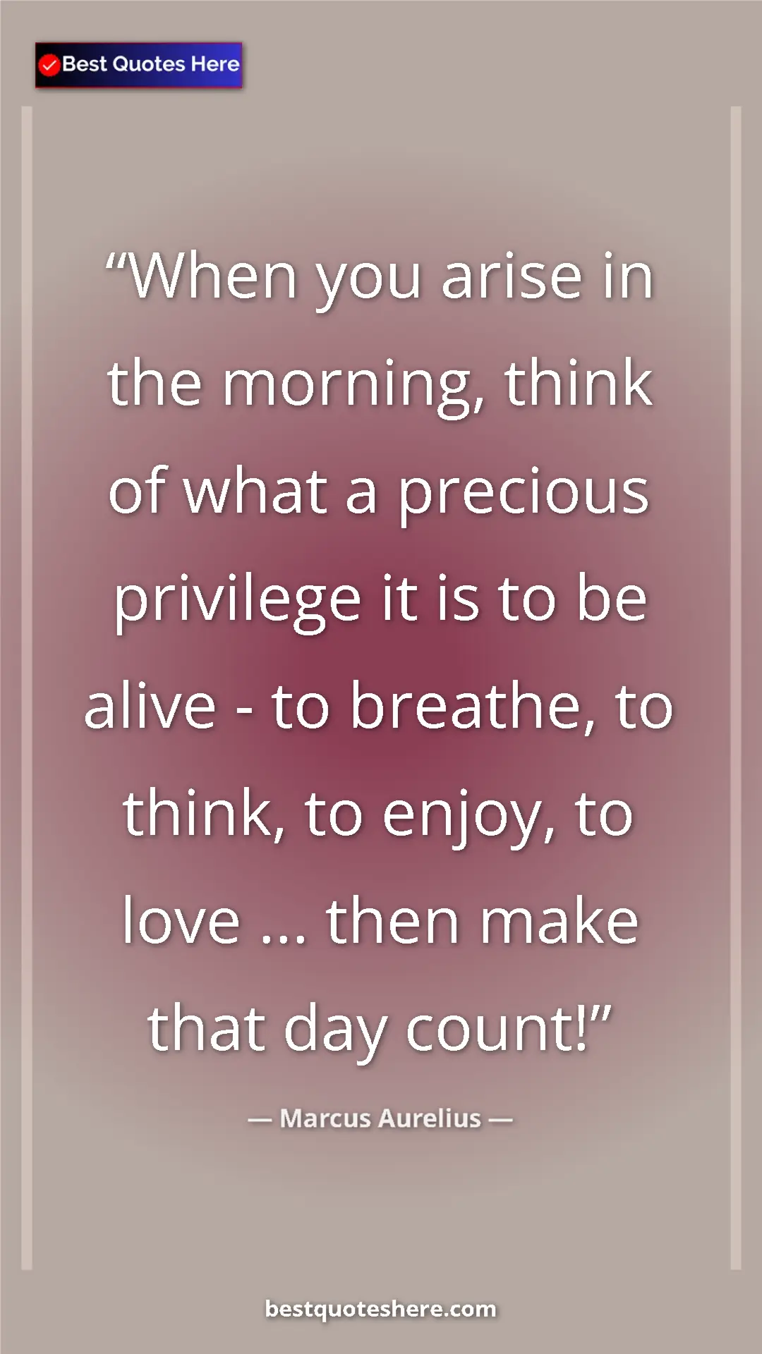 Pinterest quote poster by Marcus Aurelius: "When you arise in the morning, think of what a precious..."