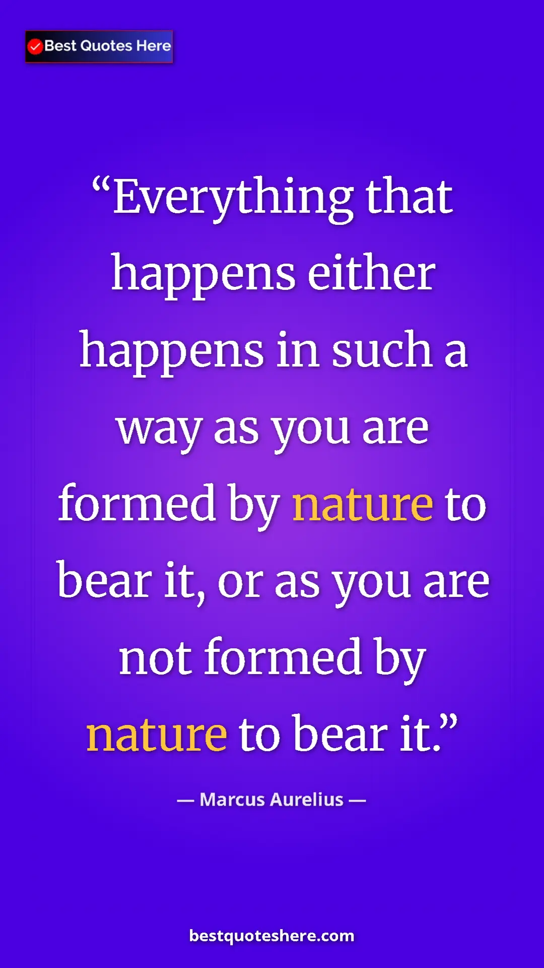 Pinterest quote poster by Marcus Aurelius: "Everything that happens either happens in such a way as you..."