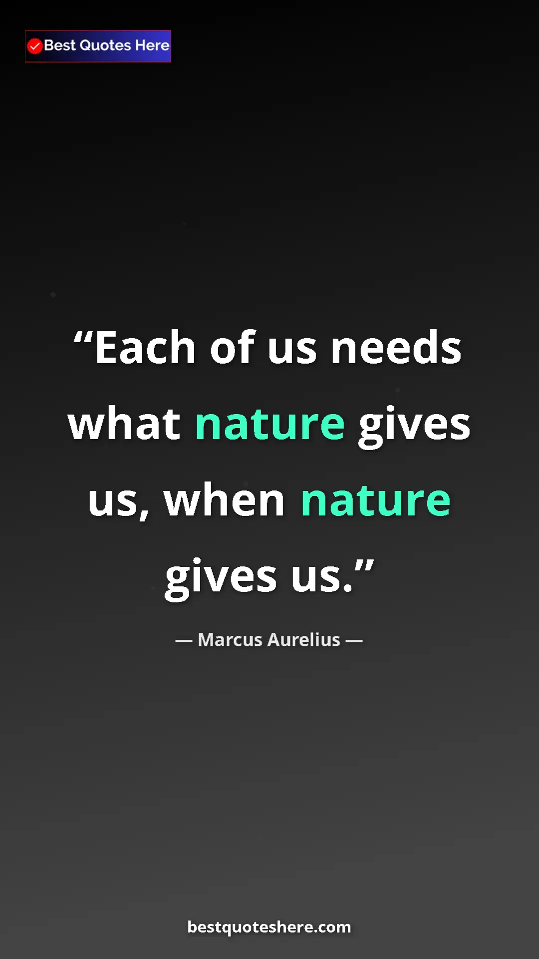 Pinterest quote poster by Marcus Aurelius: "Each of us needs what nature gives us, when nature gives us."