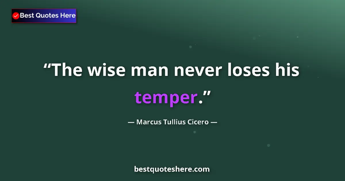 Image for the quote by Marcus Tullius Cicero: The wise man never loses his temper....