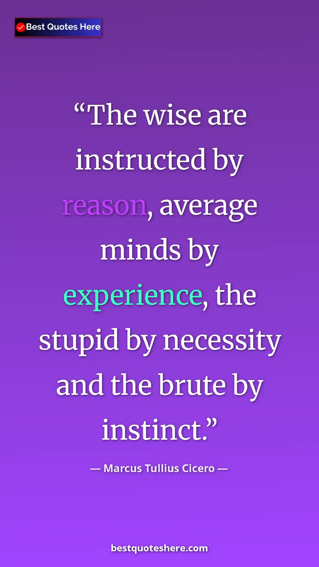 Pinterest quote poster by Marcus Tullius Cicero: "The wise are instructed by reason, average minds by..."