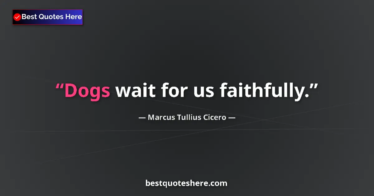 Quote by Marcus Tullius Cicero: Dogs wait for us faithfully....