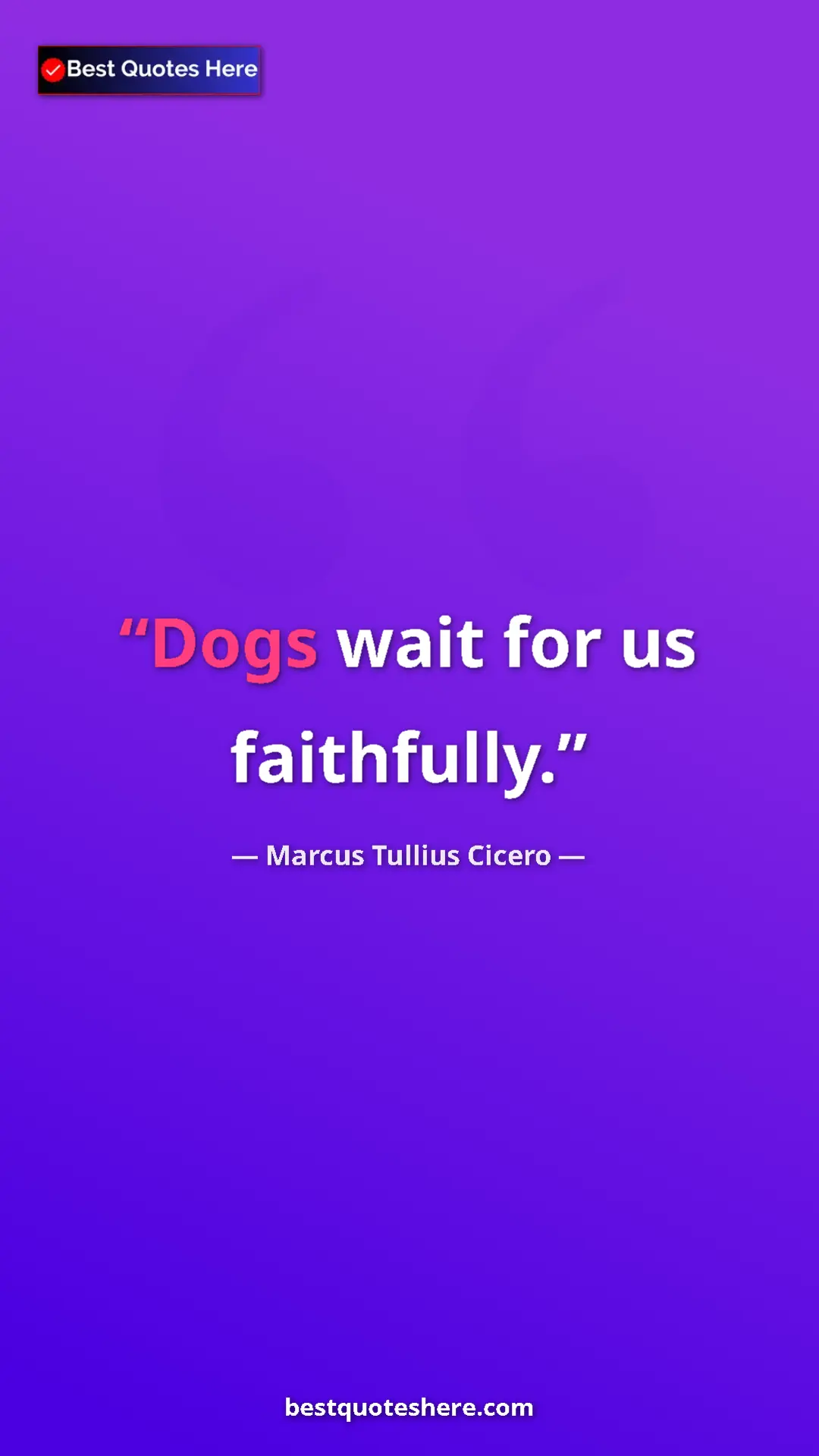 Pinterest quote poster by Marcus Tullius Cicero: "Dogs wait for us faithfully."
