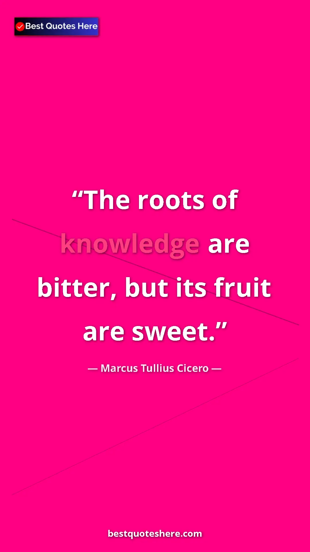 Pinterest quote poster by Marcus Tullius Cicero: "The roots of knowledge are bitter, but its fruit are sweet."