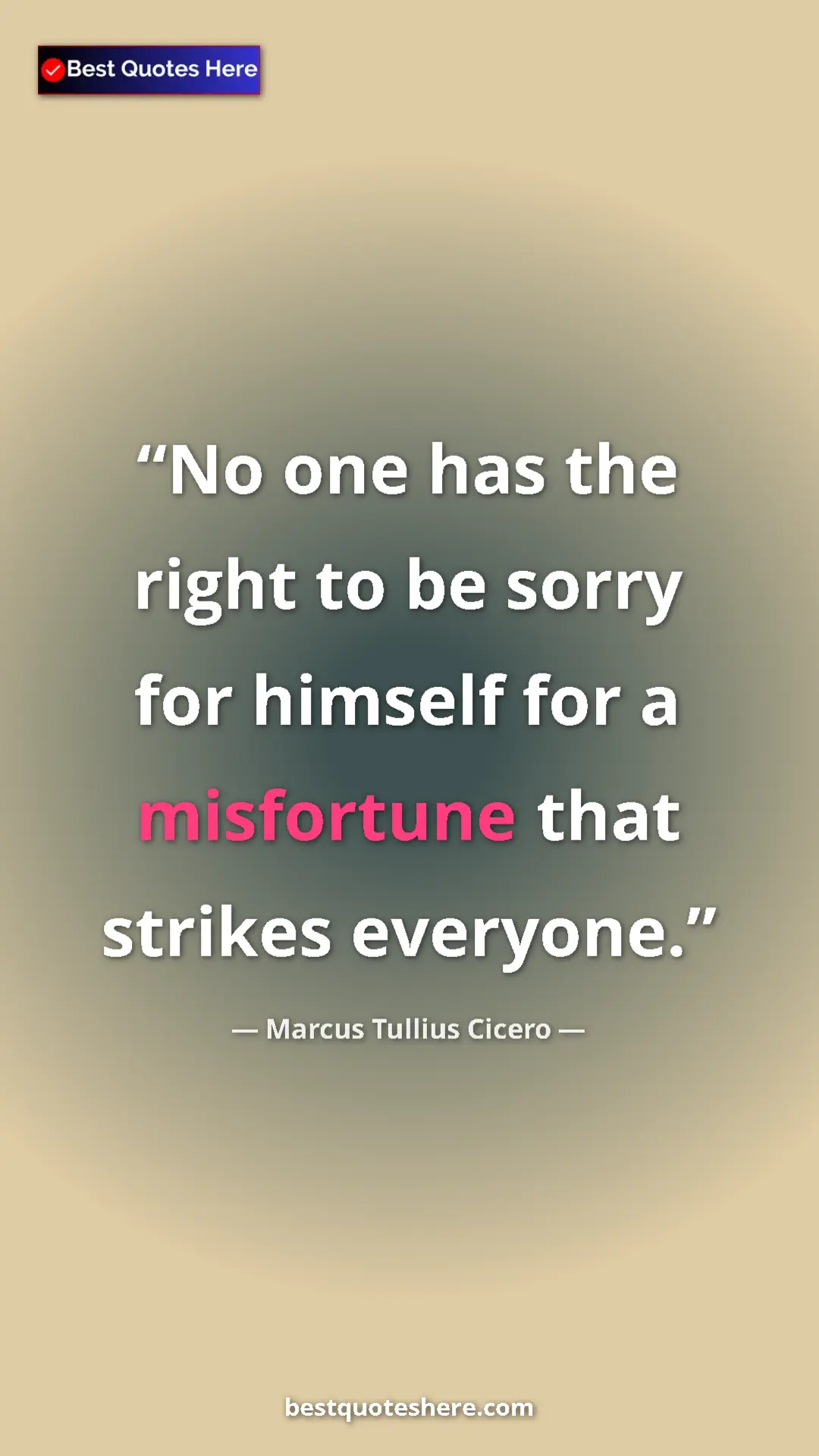 Pinterest quote poster by Marcus Tullius Cicero: "No one has the right to be sorry for himself for a..."
