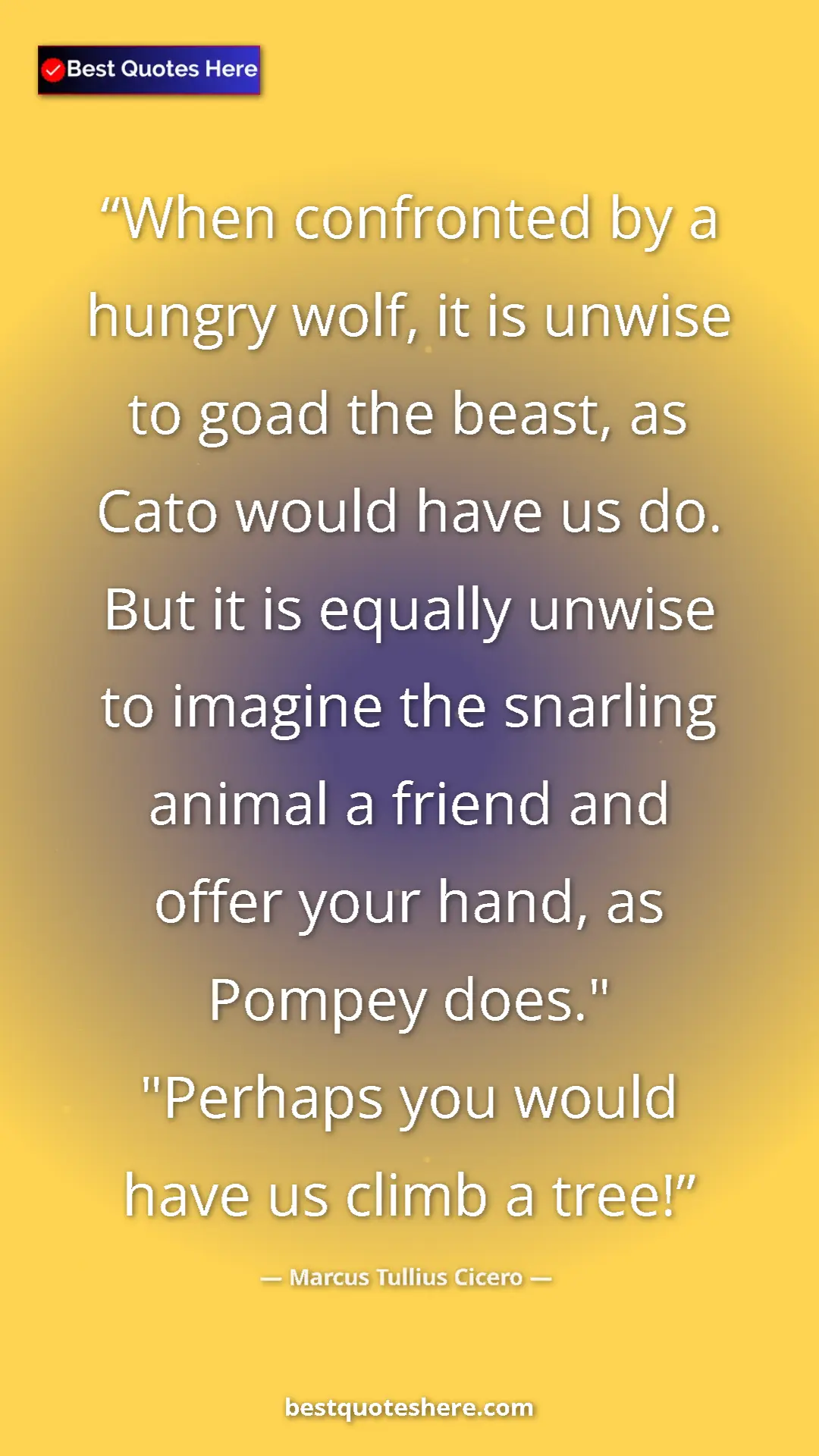 Pinterest quote poster by Marcus Tullius Cicero: "When confronted by a hungry wolf, it is unwise to goad the..."