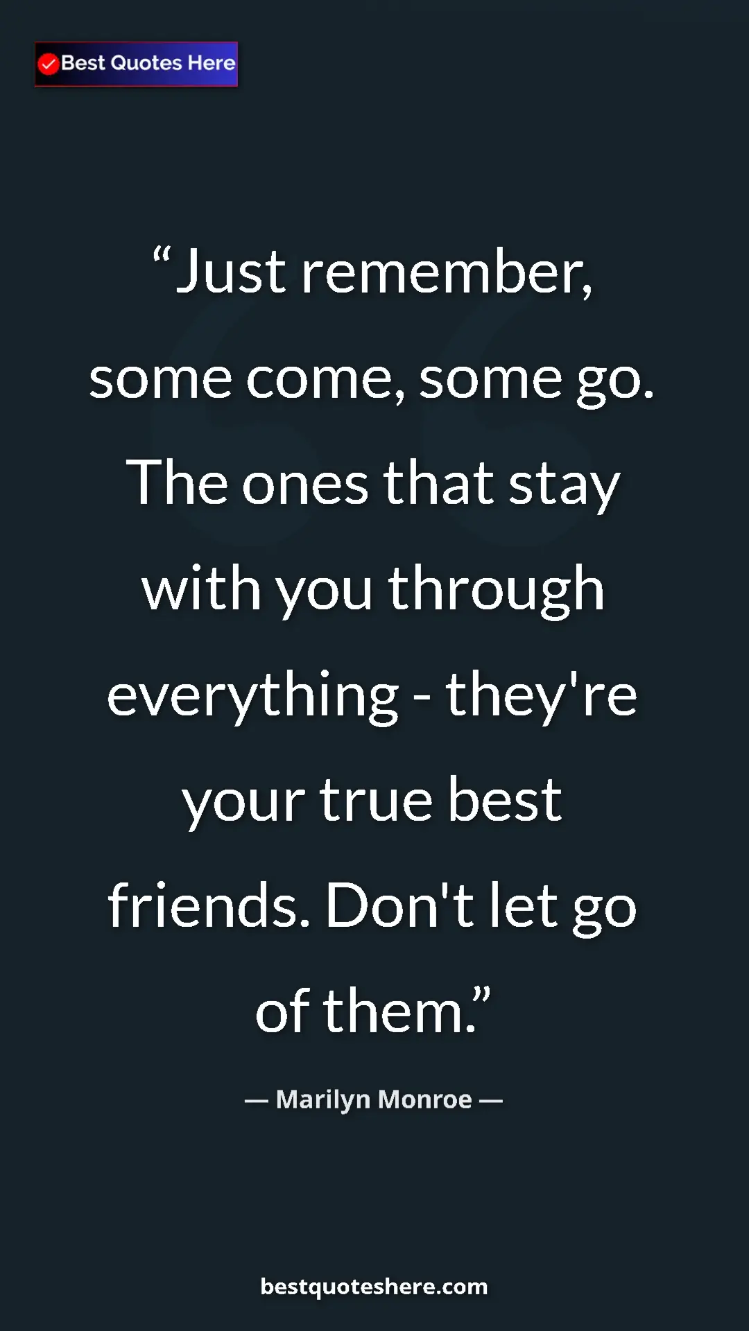 Pinterest quote poster by Marilyn Monroe: "Just remember, some come, some go. The ones that stay with..."