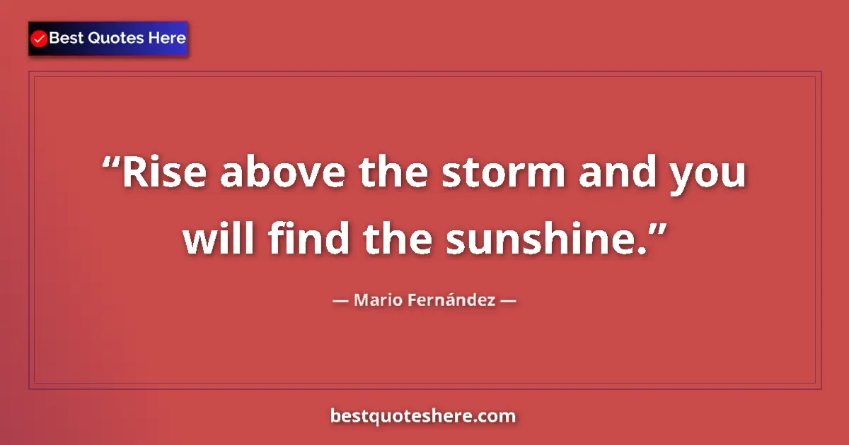 Quote by Mario Fernández: Rise above the storm and you will find the sunshine....