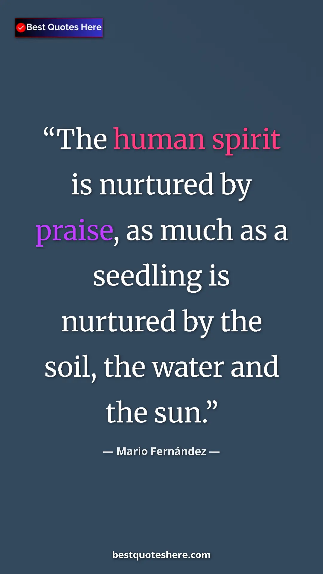 Pinterest quote poster by Mario Fernández: "The human spirit is nurtured by praise, as much as a..."