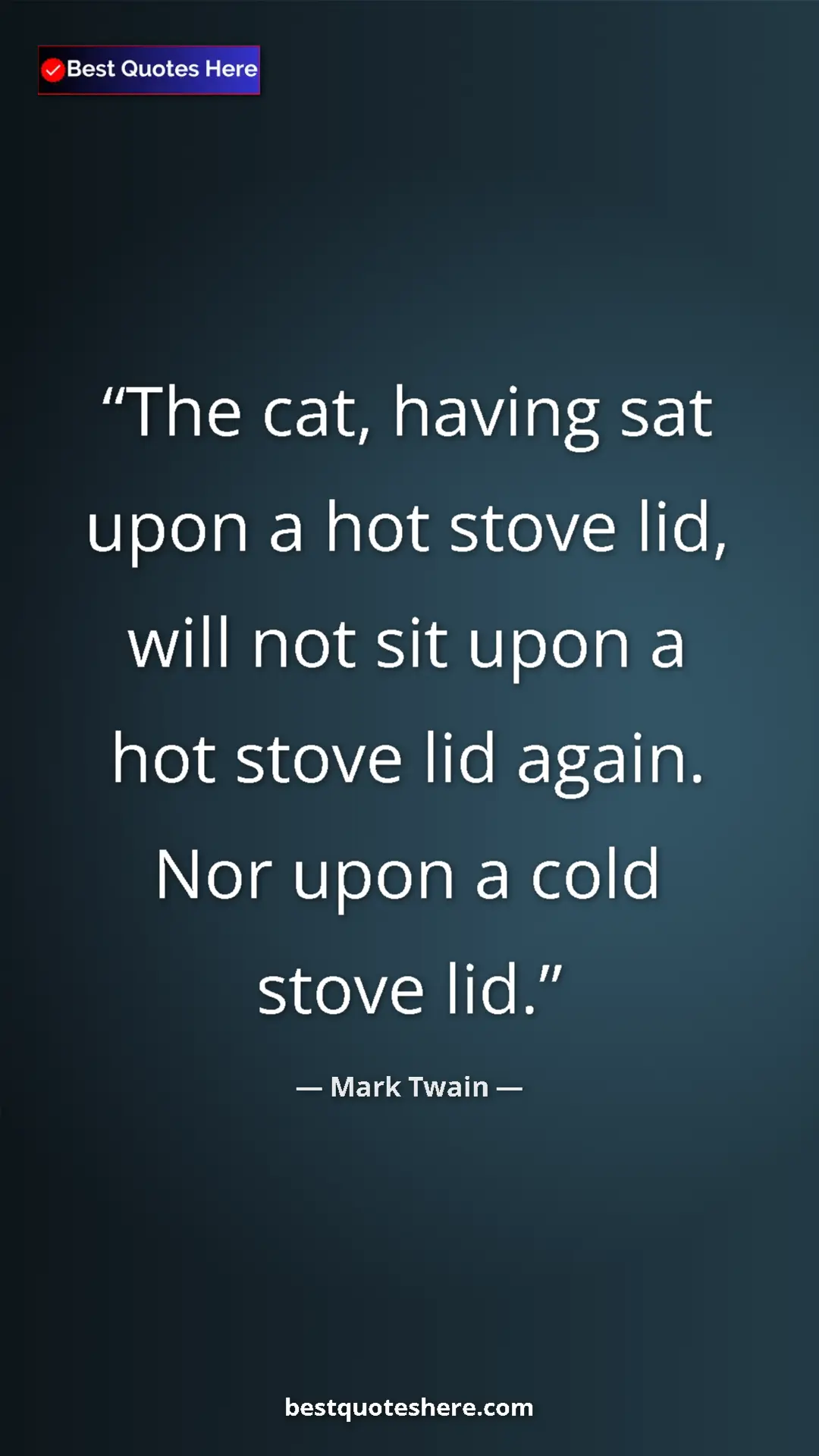Pinterest quote poster by Mark Twain: "The cat, having sat upon a hot stove lid, will not sit upon..."