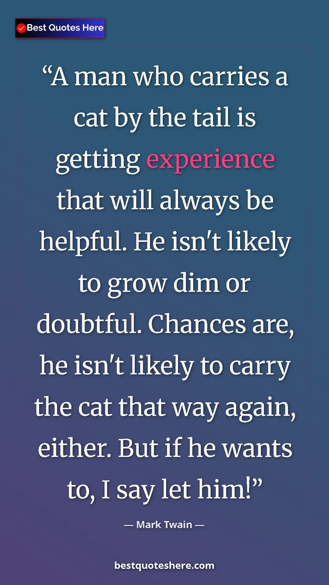 Pinterest quote poster by Mark Twain: "A man who carries a cat by the tail is getting experience..."