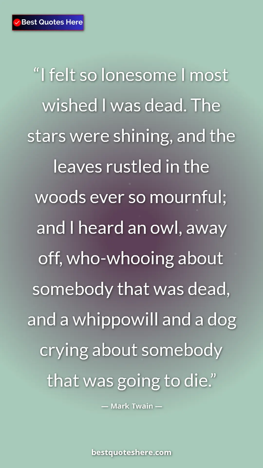 Pinterest quote poster by Mark Twain: "I felt so lonesome I most wished I was dead. The stars were..."