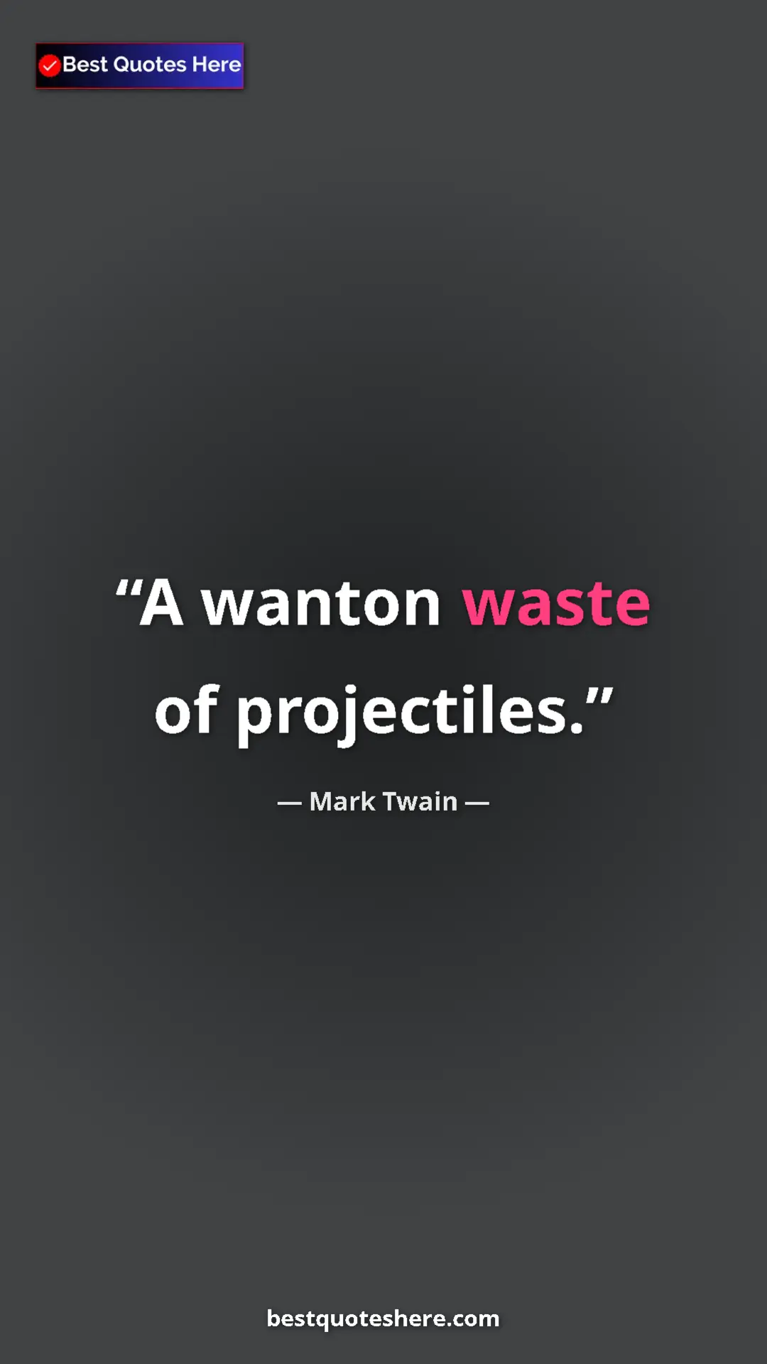 Pinterest quote poster by Mark Twain: "A wanton waste of projectiles."