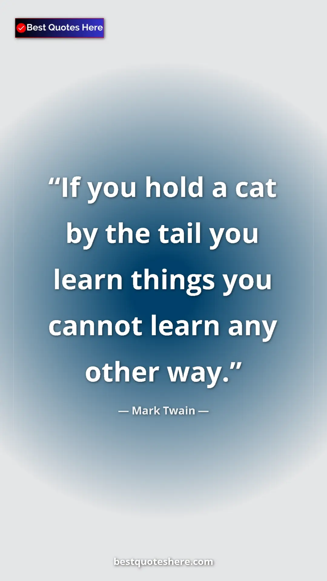 Pinterest quote poster by Mark Twain: "If you hold a cat by the tail you learn things you cannot..."