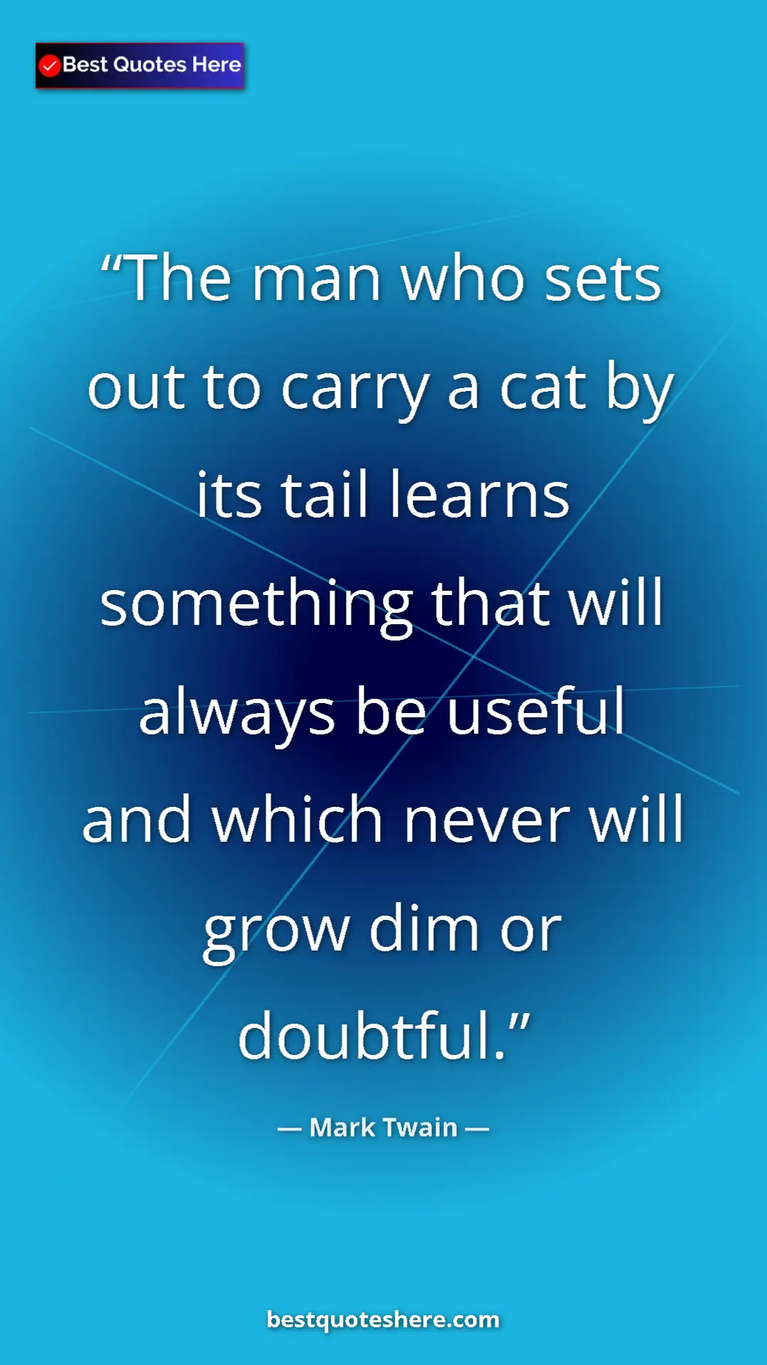 Pinterest quote poster by Mark Twain: "The man who sets out to carry a cat by its tail learns..."