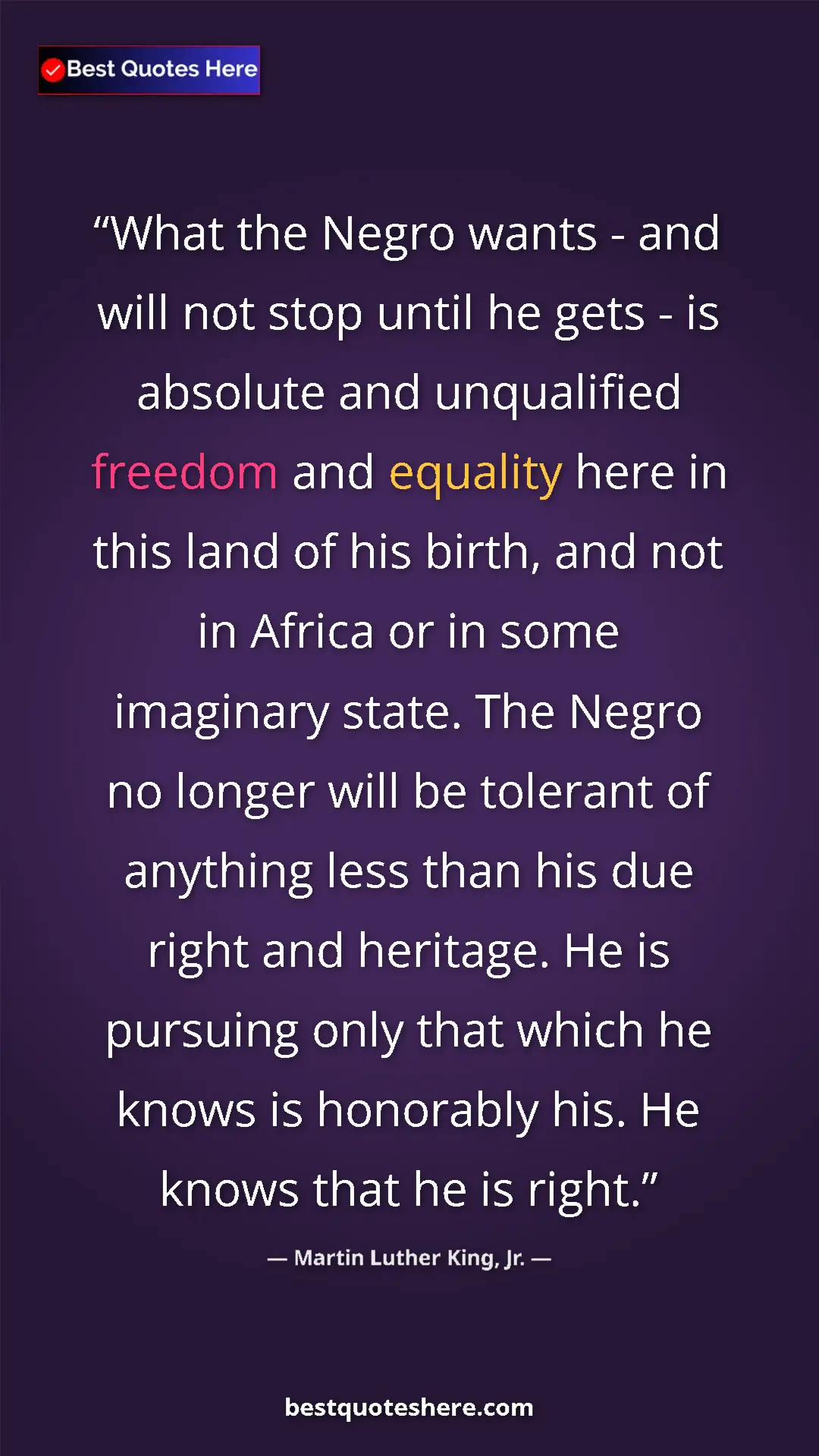 Pinterest quote poster by Martin Luther King, Jr.: "What the Negro wants - and will not stop until he gets - is..."