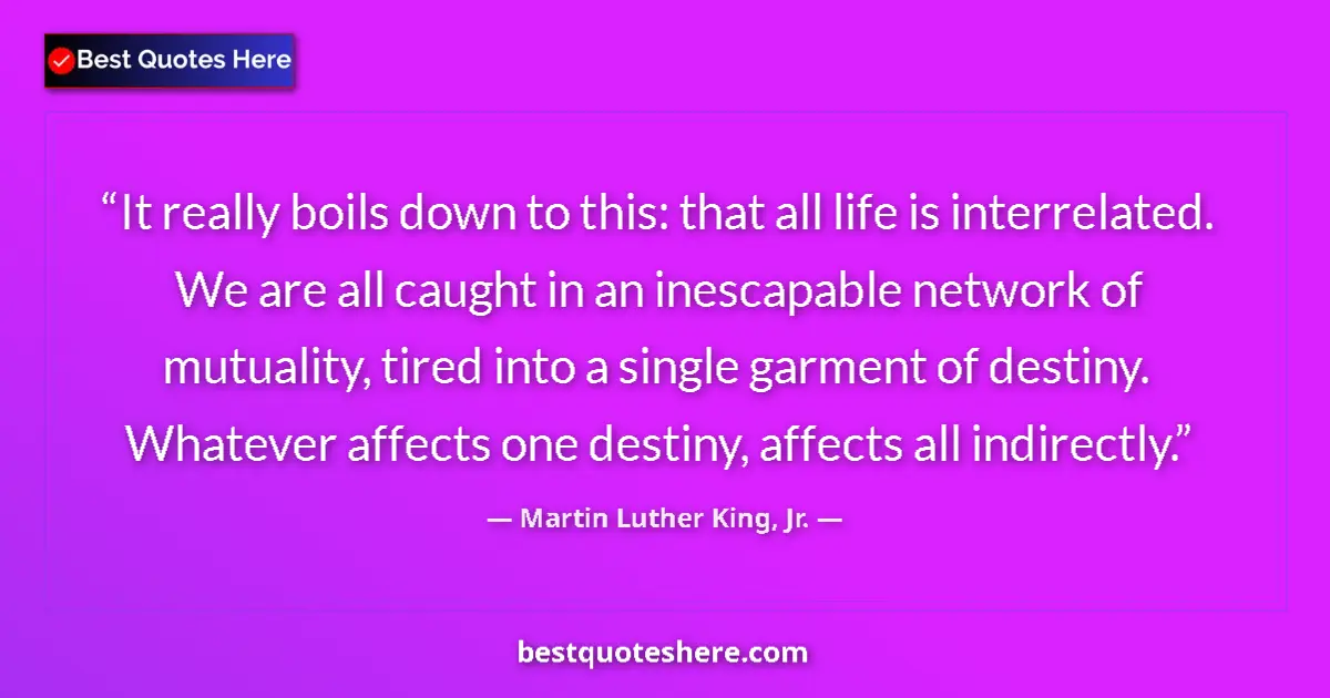 Quote by Martin Luther King, Jr.: It really boils down to this: that all life is interrelated. We are all caught in an inescapable net...