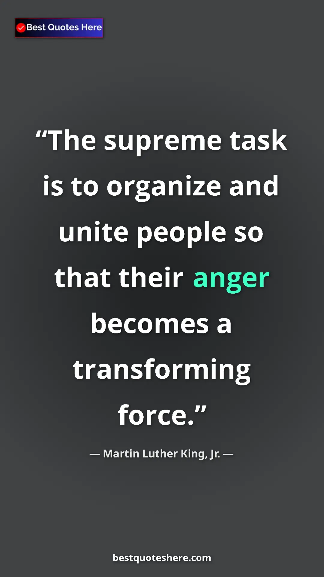 Pinterest quote poster by Martin Luther King, Jr.: "The supreme task is to organize and unite people so that..."