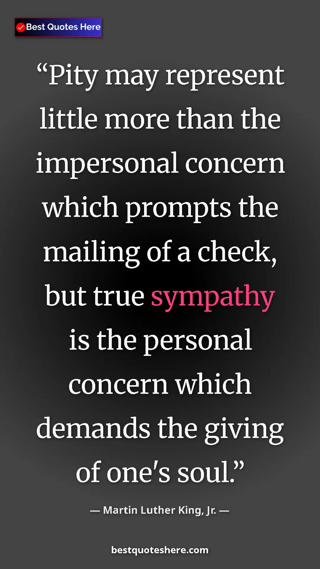 Pinterest quote poster by Martin Luther King, Jr.: "Pity may represent little more than the impersonal concern..."