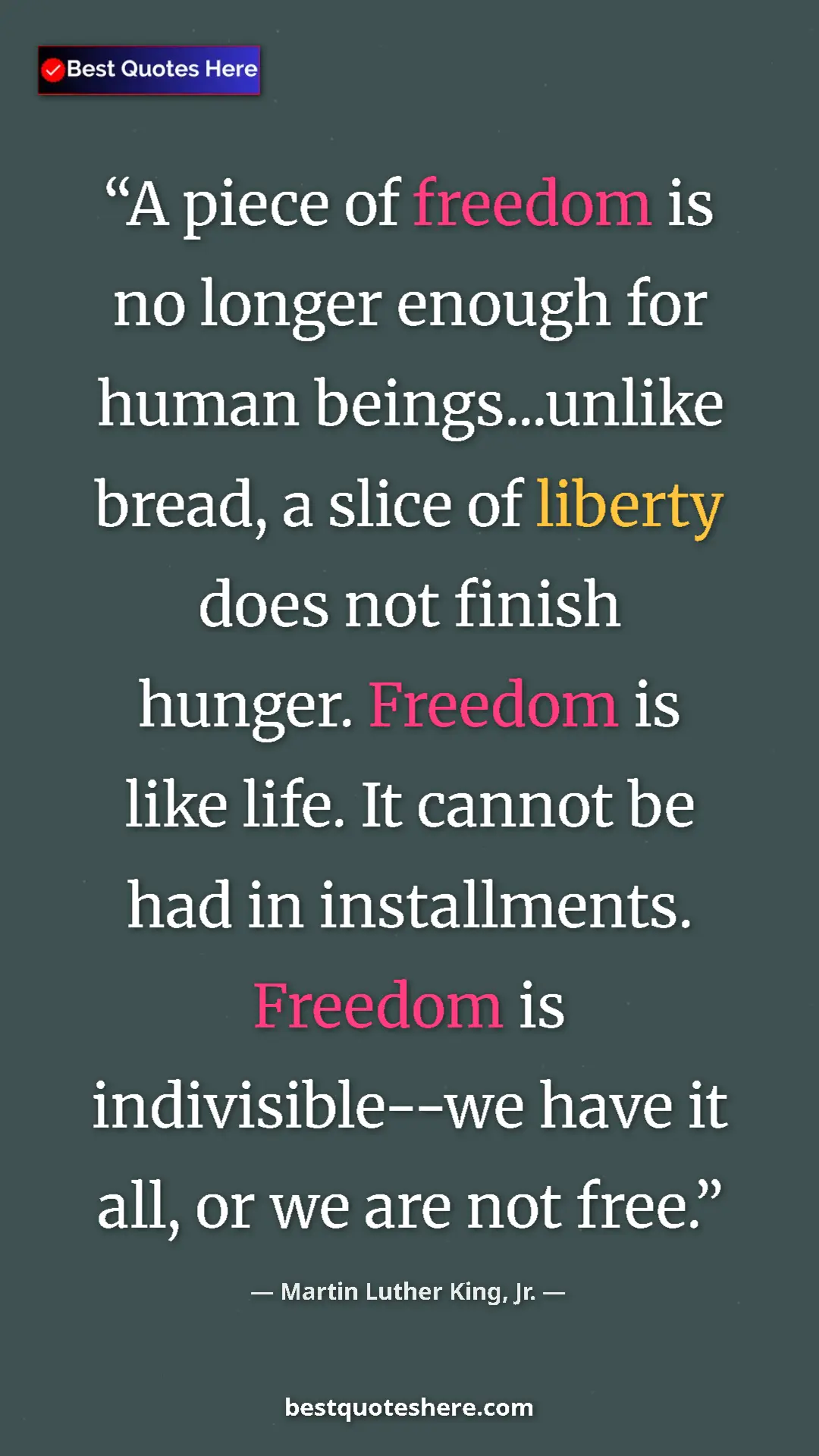 Martin Luther King, Jr. Quote Card: "A piece of freedom is no longer enough for human..." Pinterest quote poster by Martin Luther King, Jr.: "A piece of freedom is no longer enough for human..."
