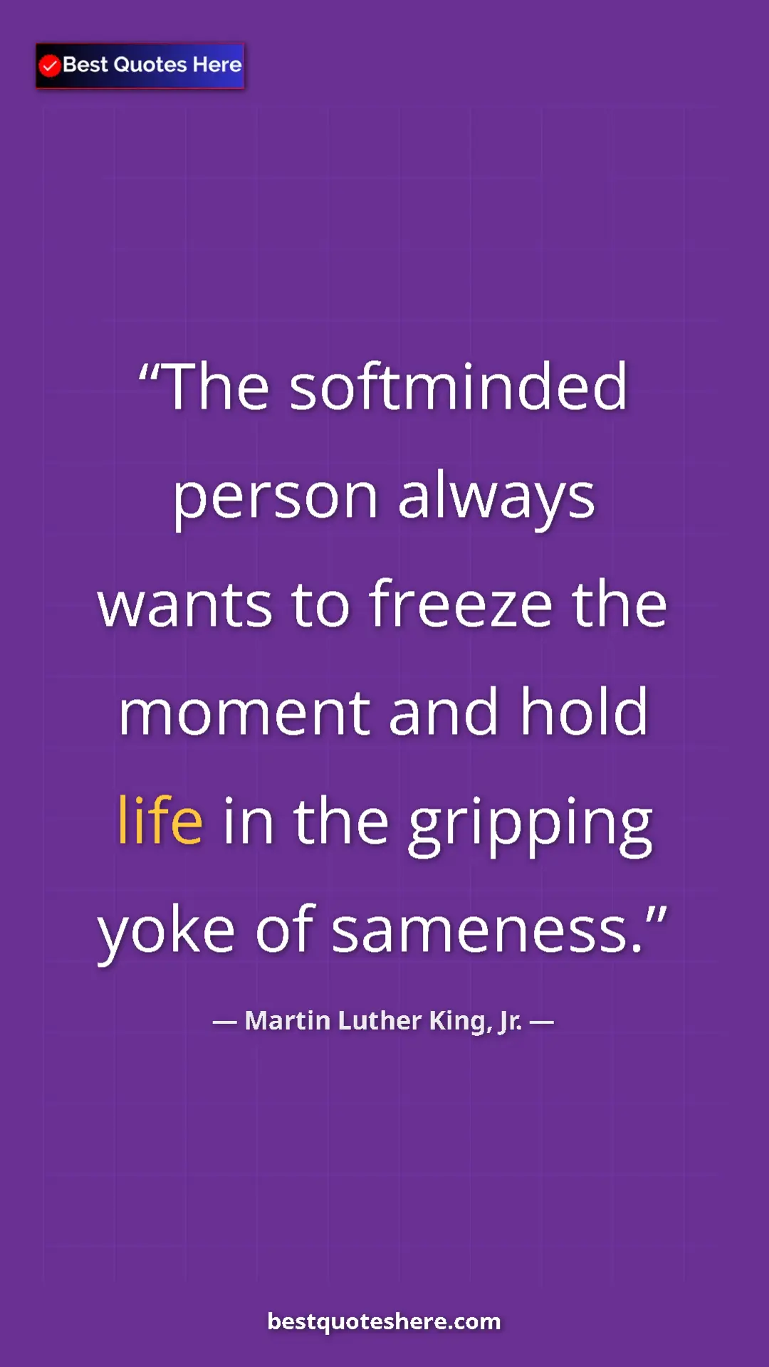 Pinterest quote poster by Martin Luther King, Jr.: "The softminded person always wants to freeze the moment and..."