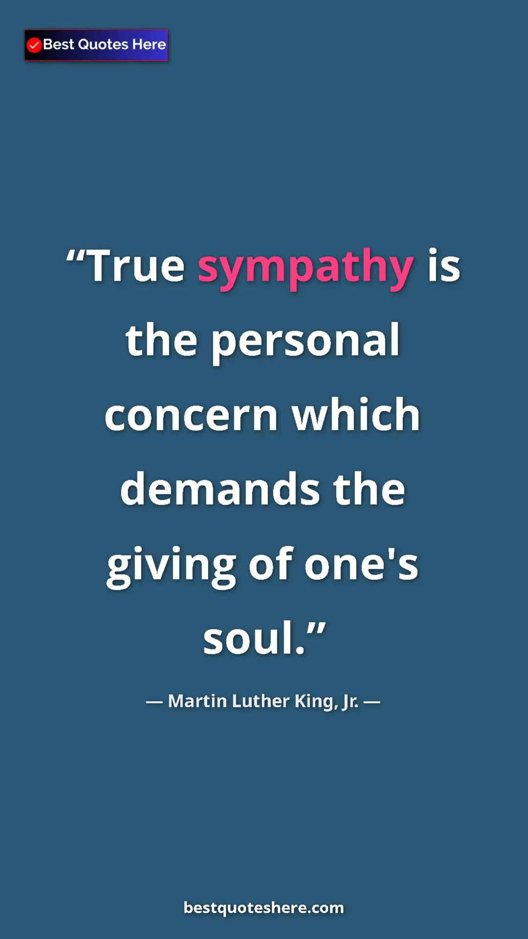 Martin Luther King, Jr. Quote Card: "True sympathy is the personal concern which demands the..." Pinterest quote poster by Martin Luther King, Jr.: "True sympathy is the personal concern which demands the..."