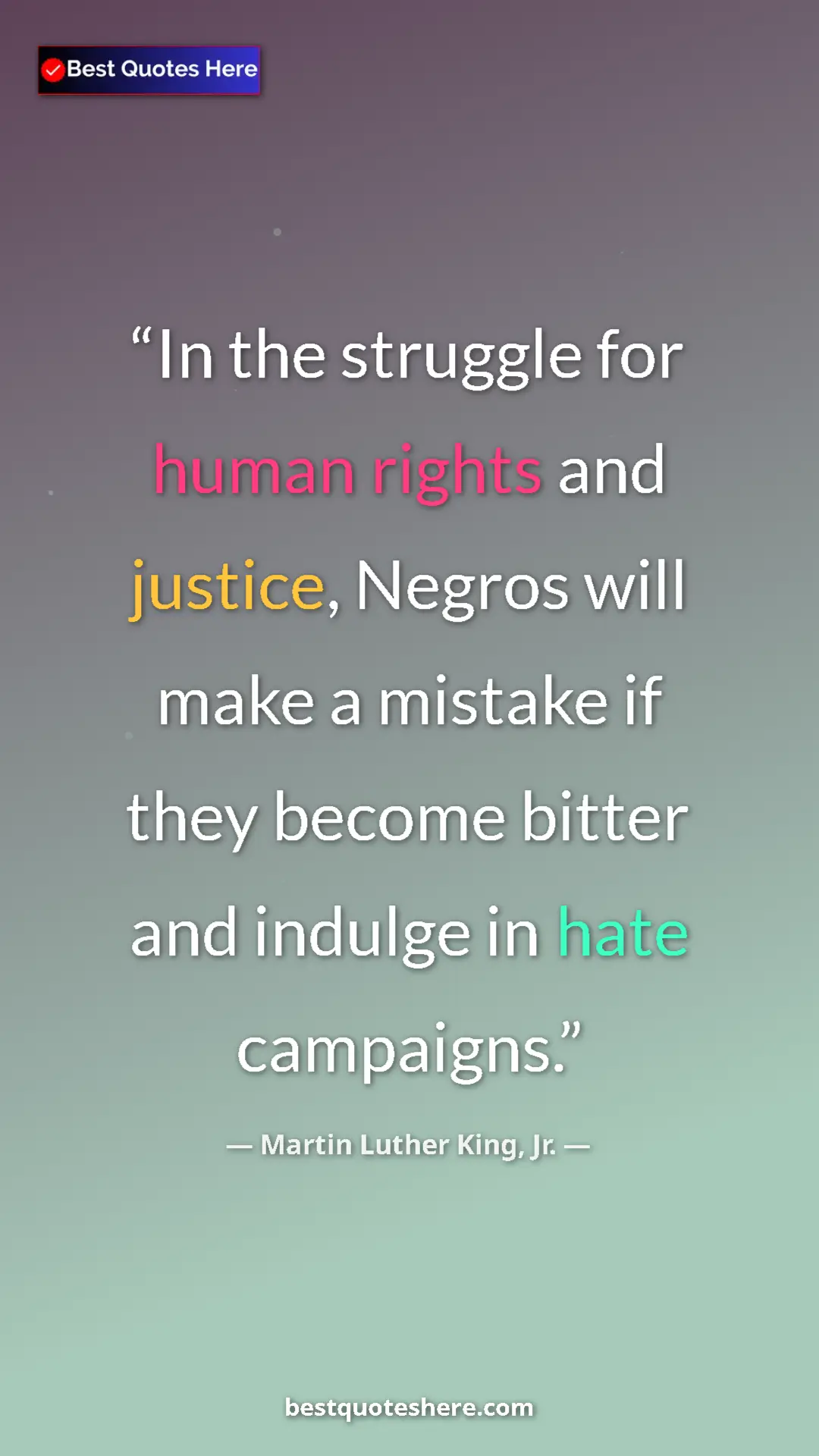 Martin Luther King, Jr. Quote Card: "In the struggle for human rights and justice, Negros will..." Pinterest quote poster by Martin Luther King, Jr.: "In the struggle for human rights and justice, Negros will..."
