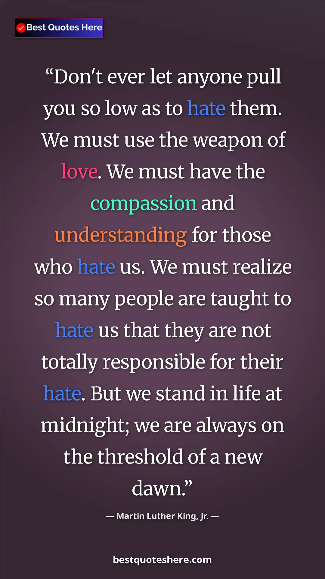 Martin Luther King, Jr. Quote Card: "Don't ever let anyone pull you so low as to hate them. We..." Pinterest quote poster by Martin Luther King, Jr.: "Don't ever let anyone pull you so low as to hate them. We..."