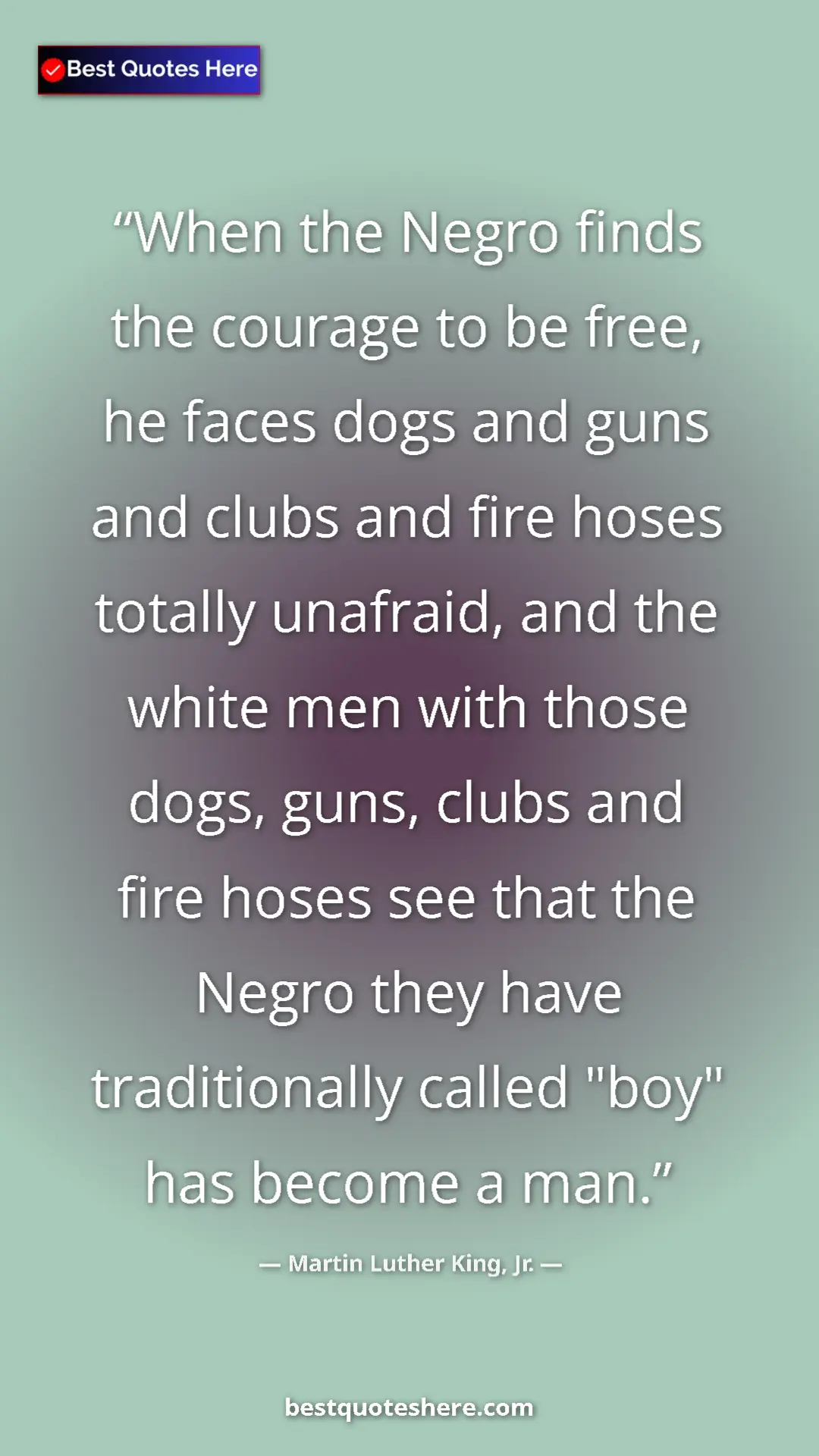 Pinterest quote poster by Martin Luther King, Jr.: "When the Negro finds the courage to be free, he faces dogs..."