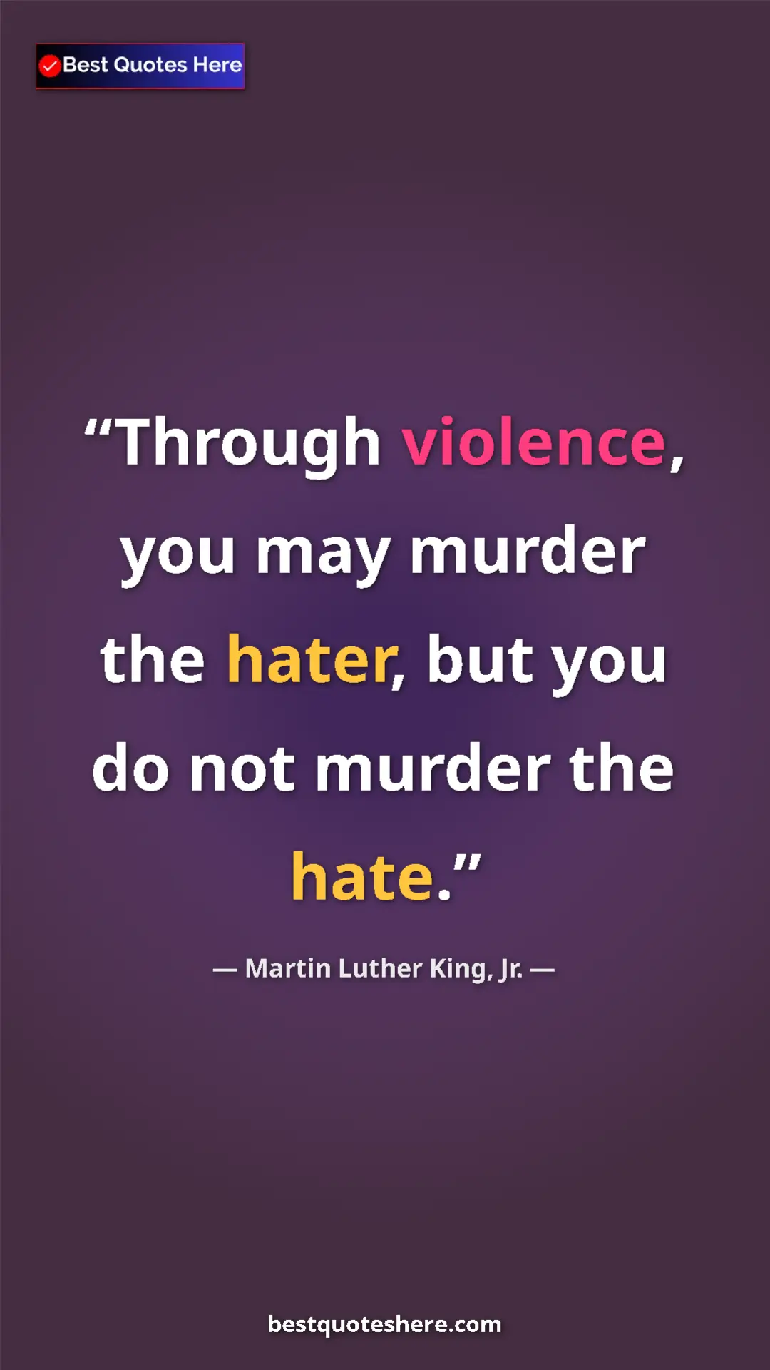 Pinterest quote poster by Martin Luther King, Jr.: "Through violence, you may murder the hater, but you do not..."