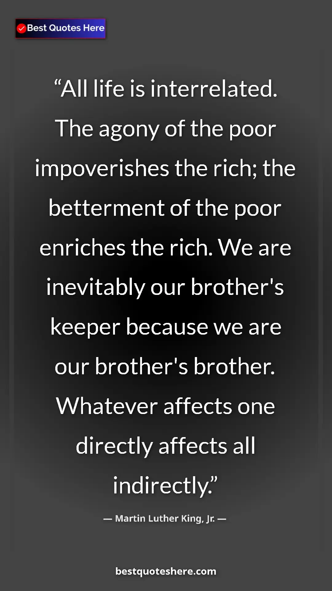Pinterest quote poster by Martin Luther King, Jr.: "All life is interrelated. The agony of the poor..."