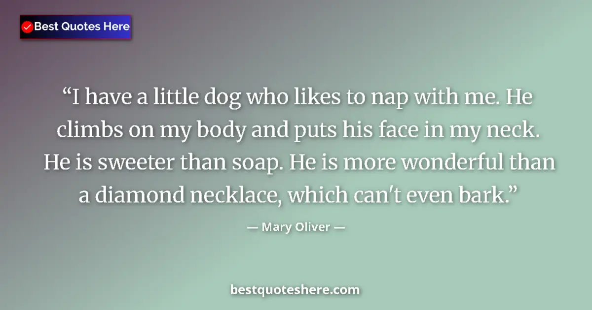 Quote by Mary Oliver: I have a little dog who likes to nap with me. He climbs on my body and puts his face in my neck. He ...