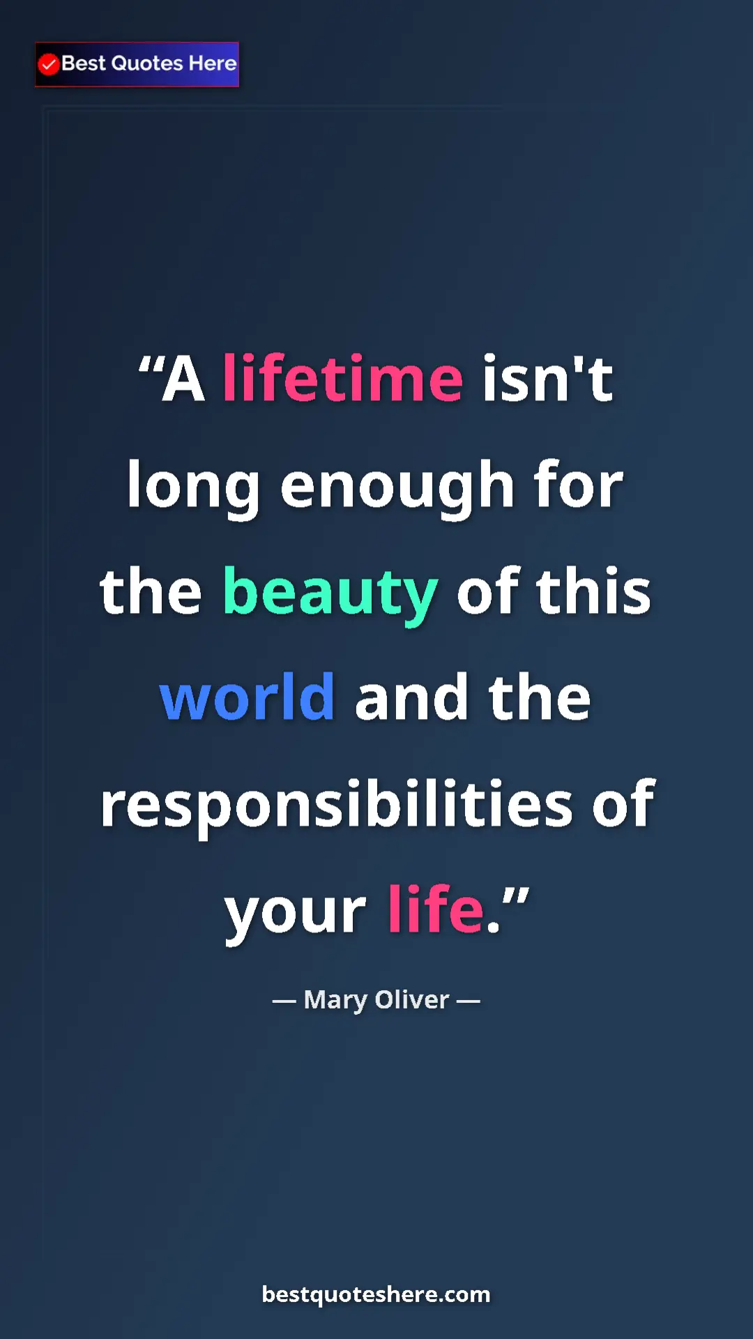 Pinterest quote poster by Mary Oliver: "A lifetime isn't long enough for the beauty of this world..."