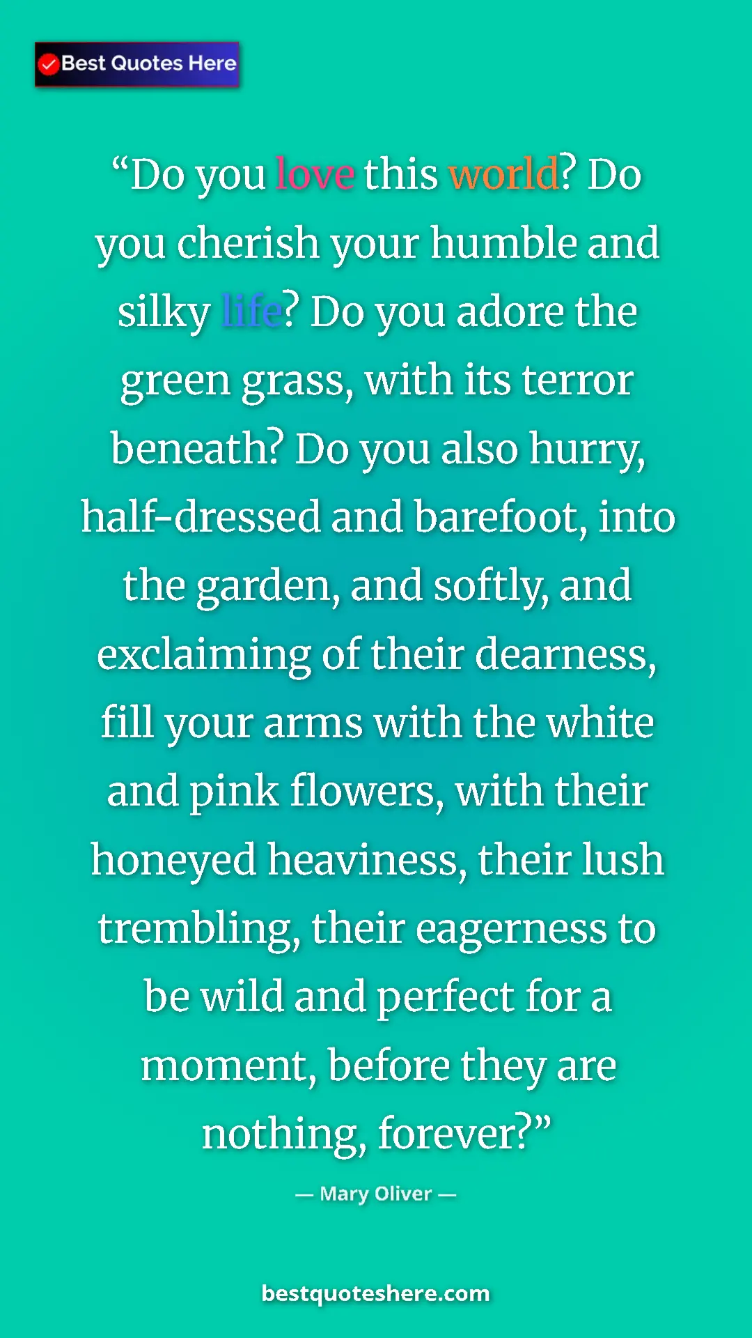 Pinterest quote poster by Mary Oliver: "Do you love this world? Do you cherish your humble and..."