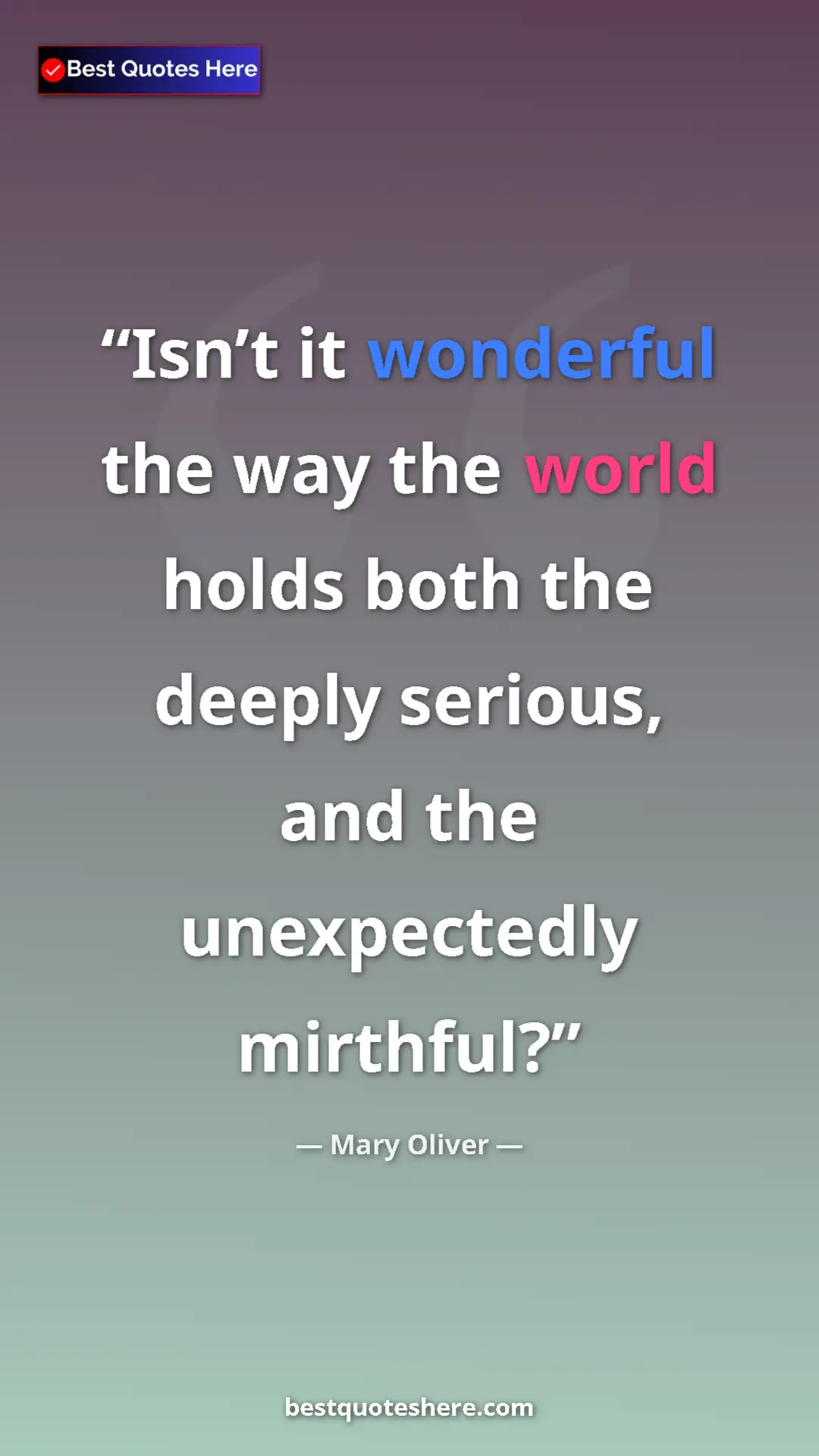 Pinterest quote poster by Mary Oliver: "Isn’t it wonderful the way the world holds both the deeply..."