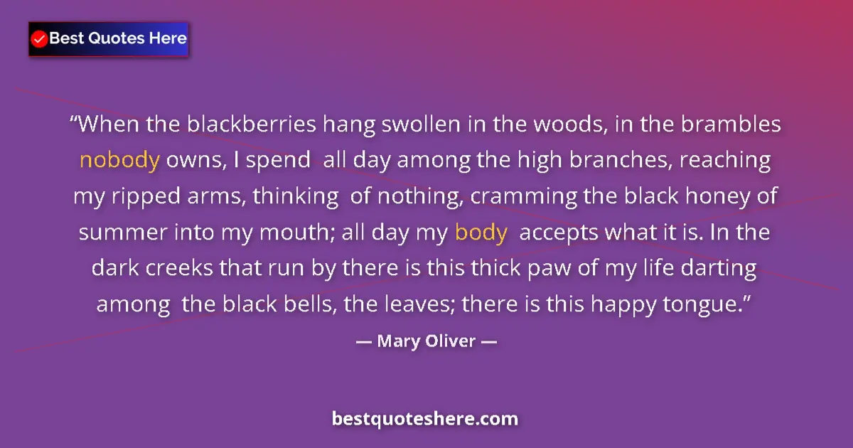Quote by Mary Oliver: When the blackberries hang swollen in the woods, in the brambles nobody owns, I spend  all day among...