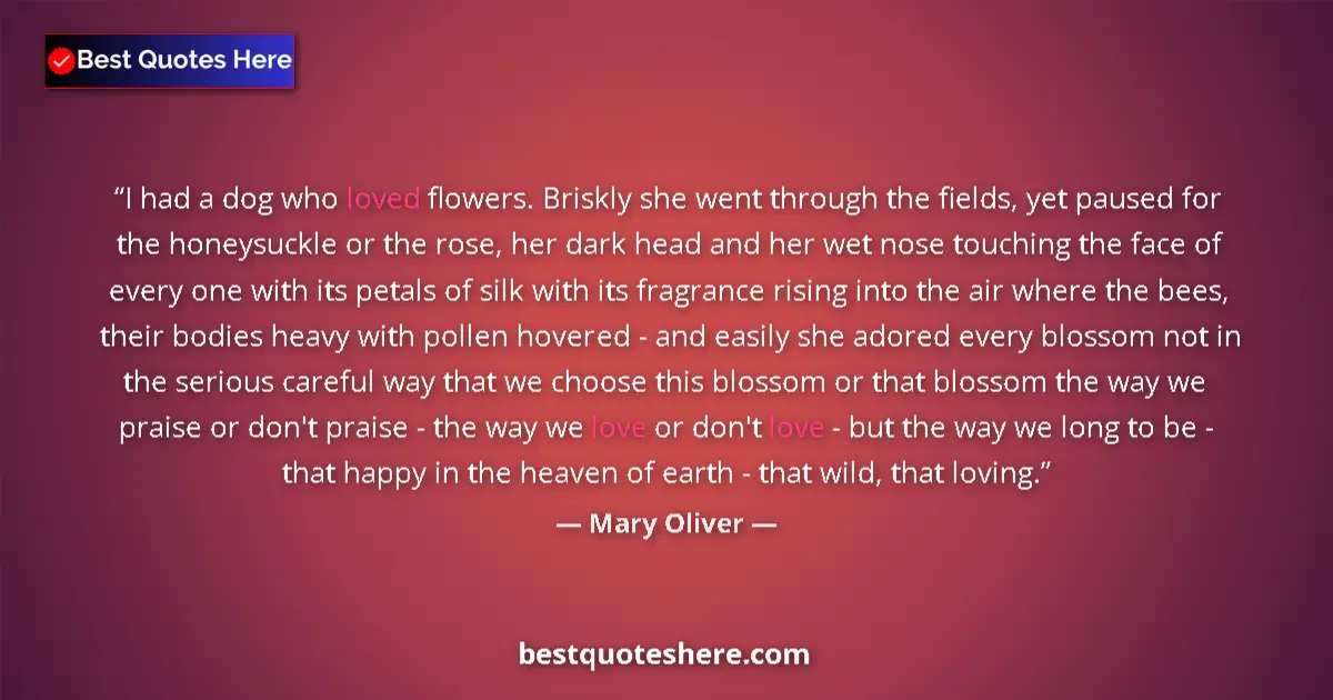 Quote by Mary Oliver: I had a dog who loved flowers. Briskly she went through the fields, yet paused for the honeysuckle o...