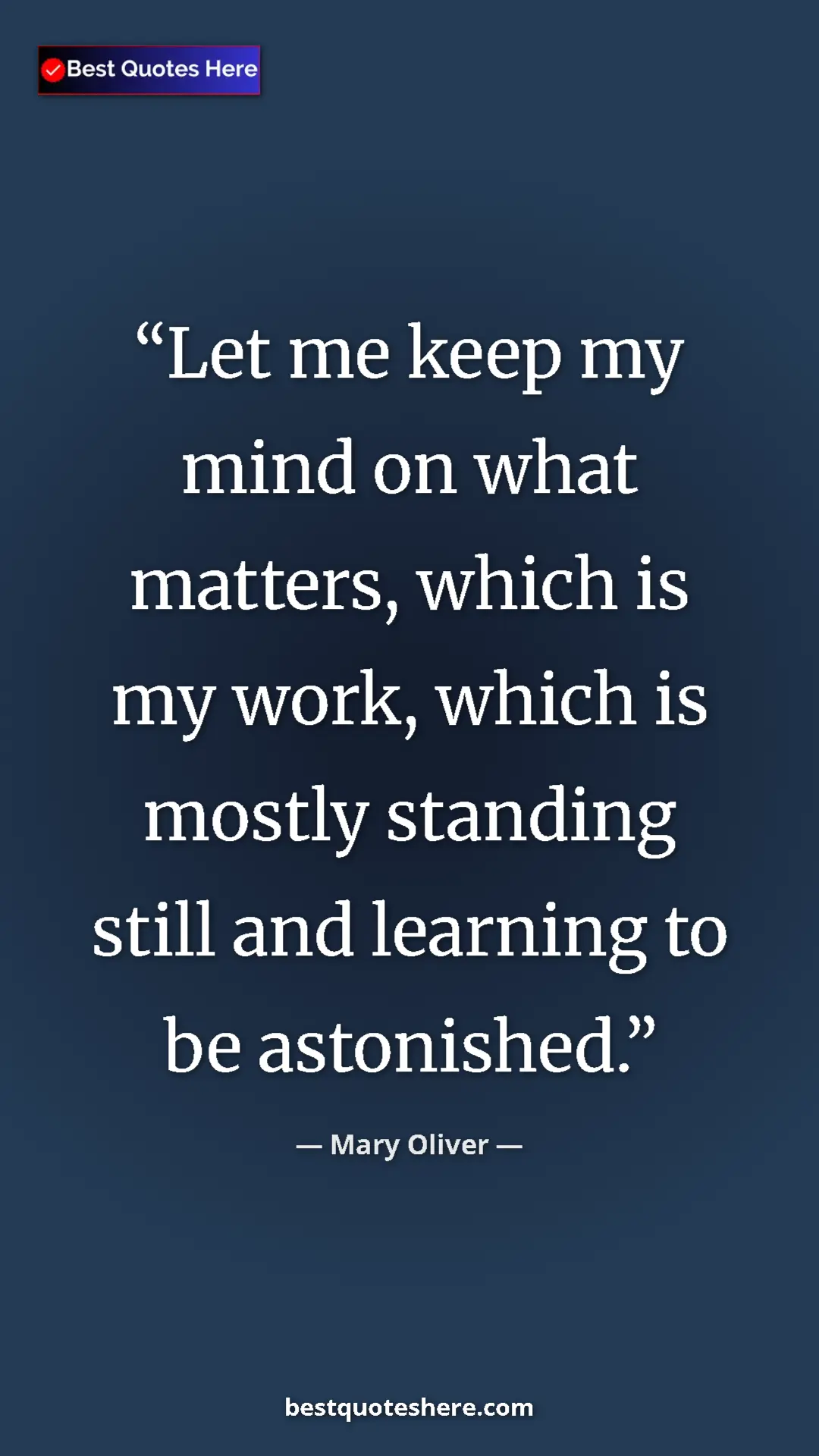 Pinterest quote poster by Mary Oliver: "Let me keep my mind on what matters, which is my work,..."