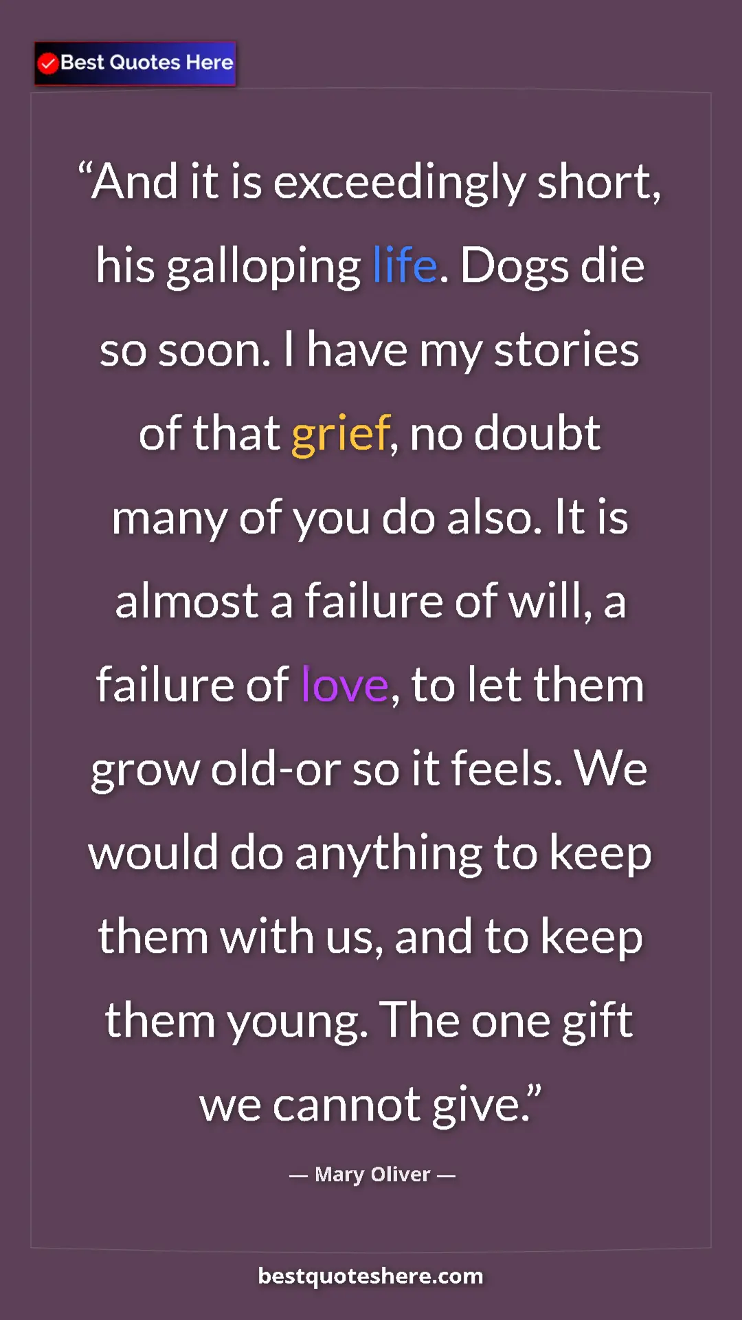 Mary Oliver Quote Card: "And it is exceedingly short, his galloping life. Dogs die..." Pinterest quote poster by Mary Oliver: "And it is exceedingly short, his galloping life. Dogs die..."