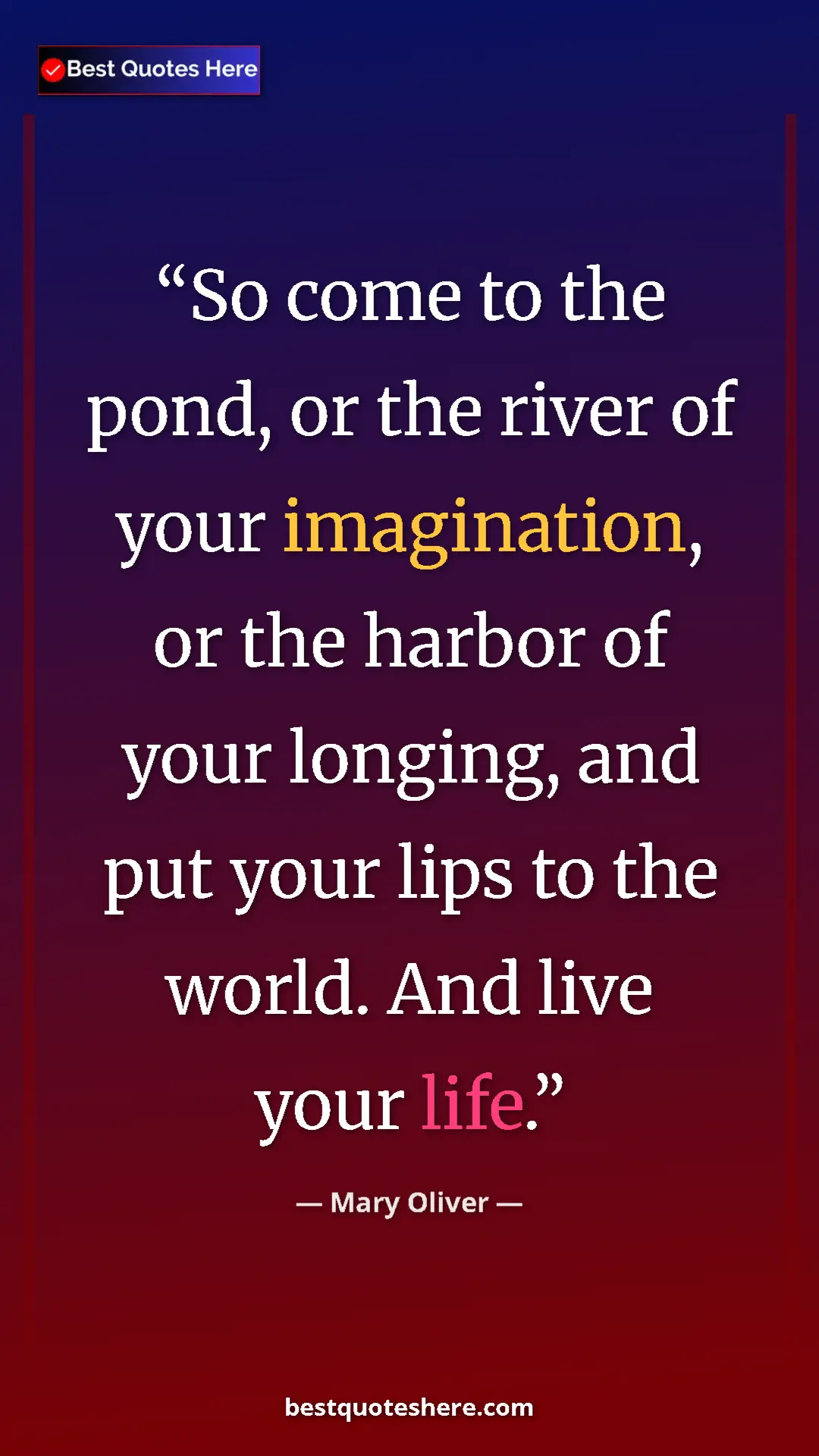 Pinterest quote poster by Mary Oliver: "So come to the pond, or the river of your imagination, or..."