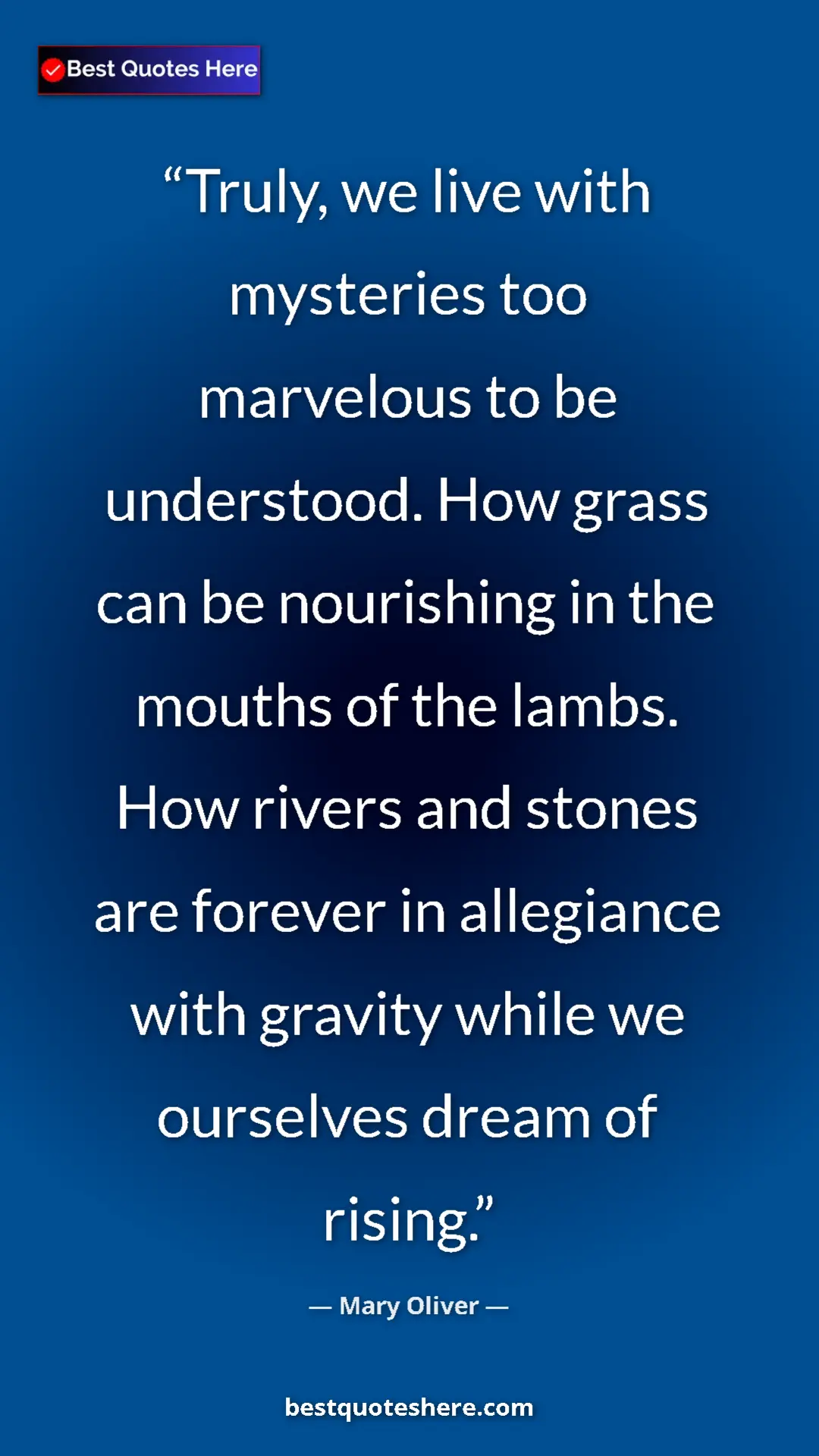 Pinterest quote poster by Mary Oliver: "Truly, we live with mysteries too marvelous to be..."