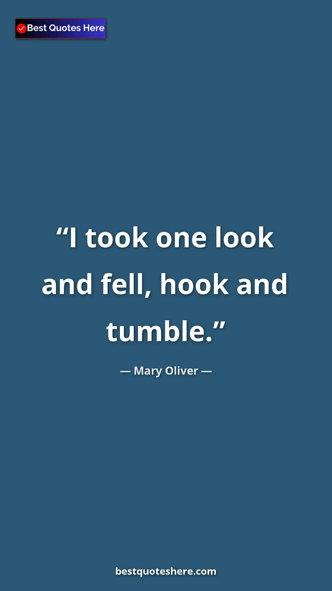 Pinterest quote poster by Mary Oliver: "I took one look and fell, hook and tumble."